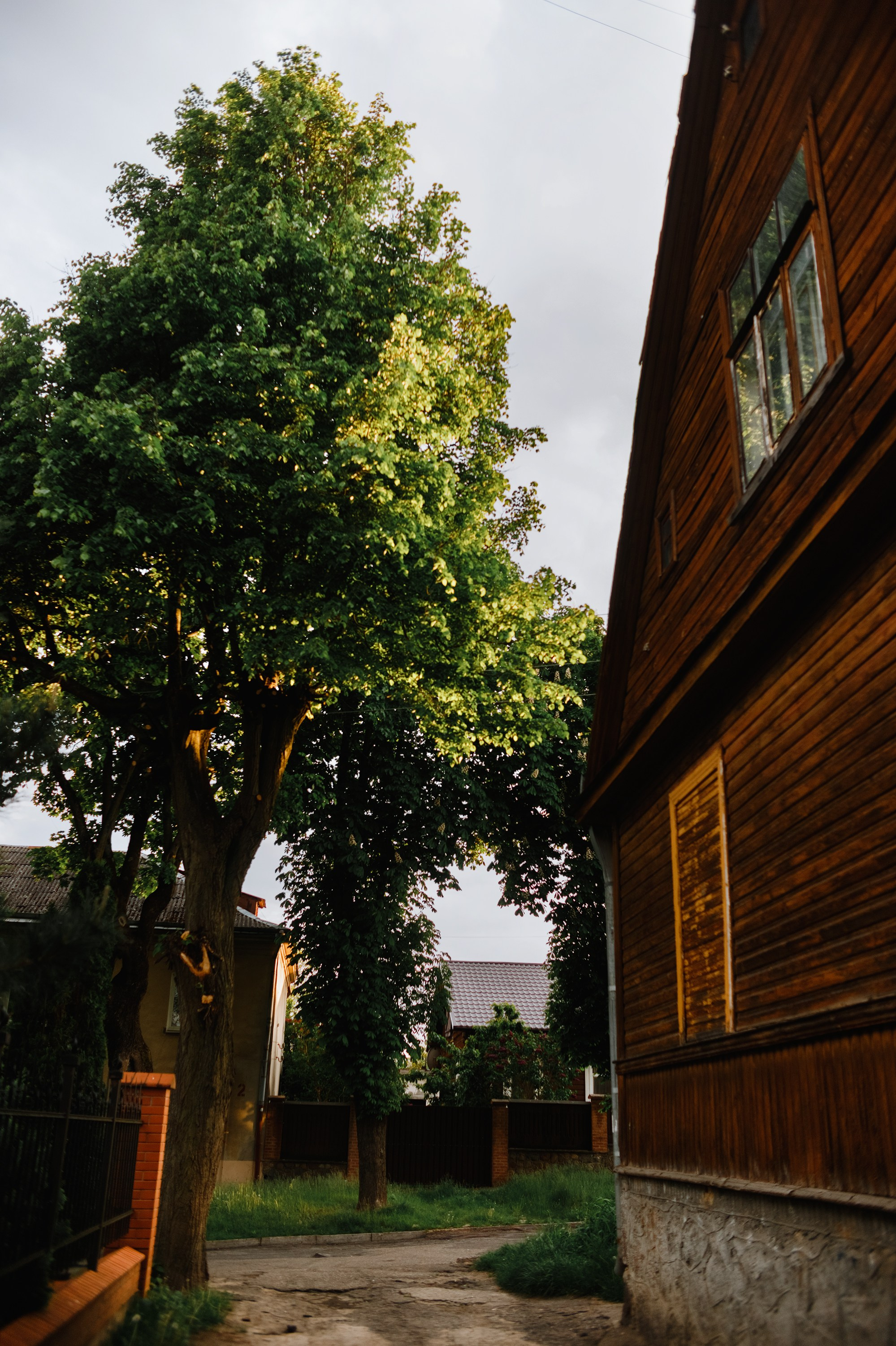 Grodno. Kaja | fotograf we Wrocławiu | ludzie i psy