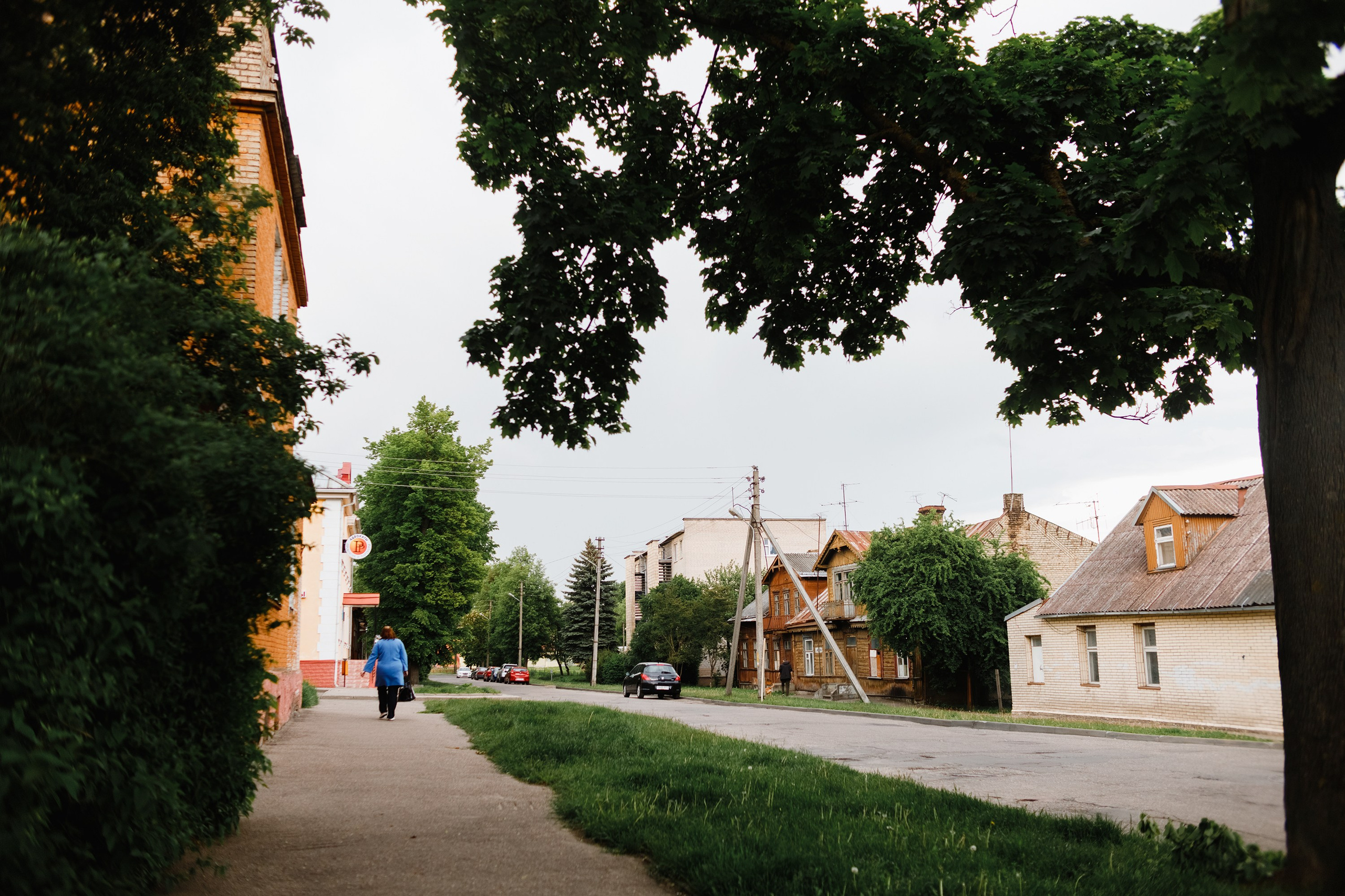 Grodno. Kaja | fotograf we Wrocławiu | ludzie i psy