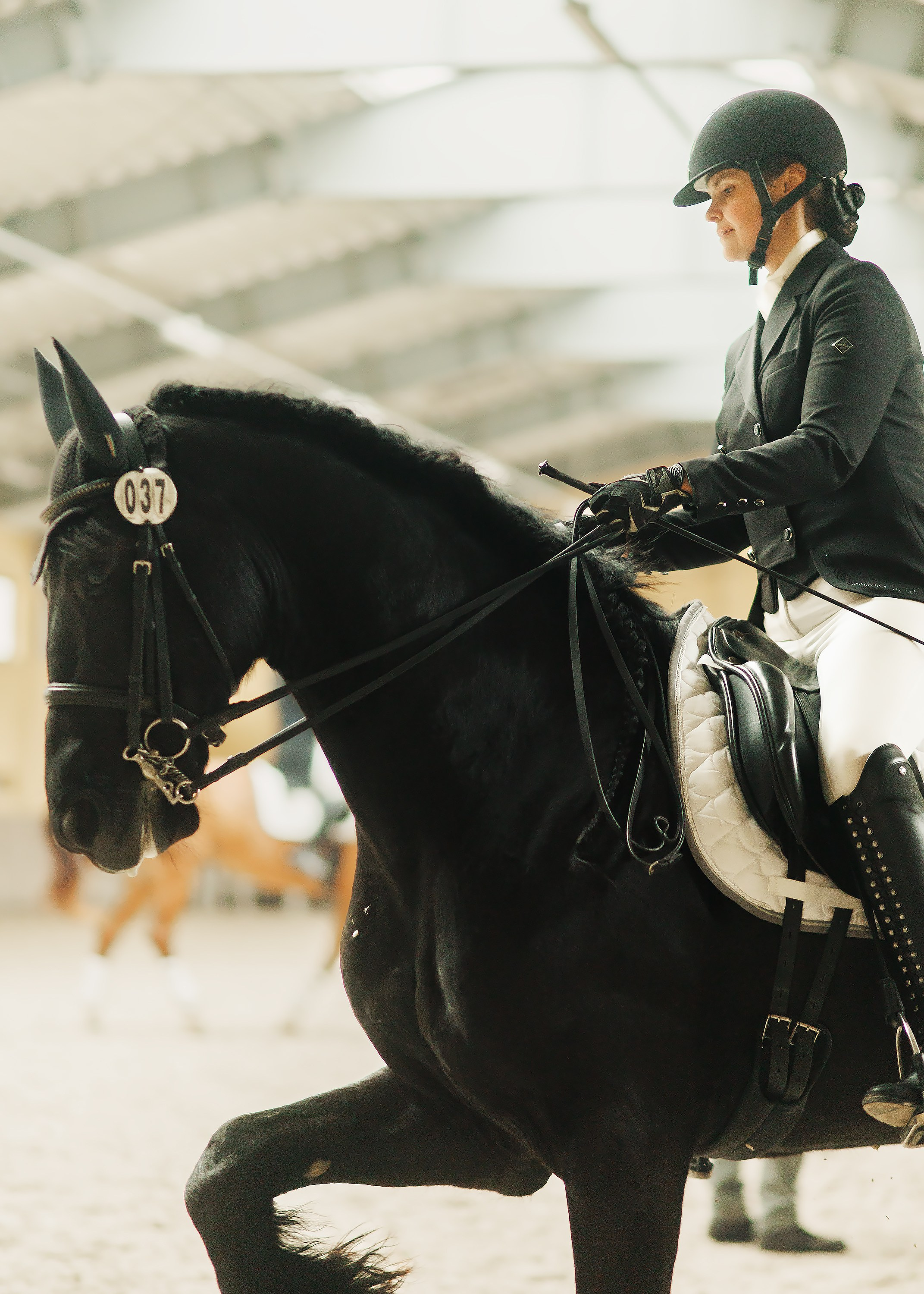 Partynice dressage \ feb'25. Kaja | fotograf we Wrocławiu | ludzie i psy