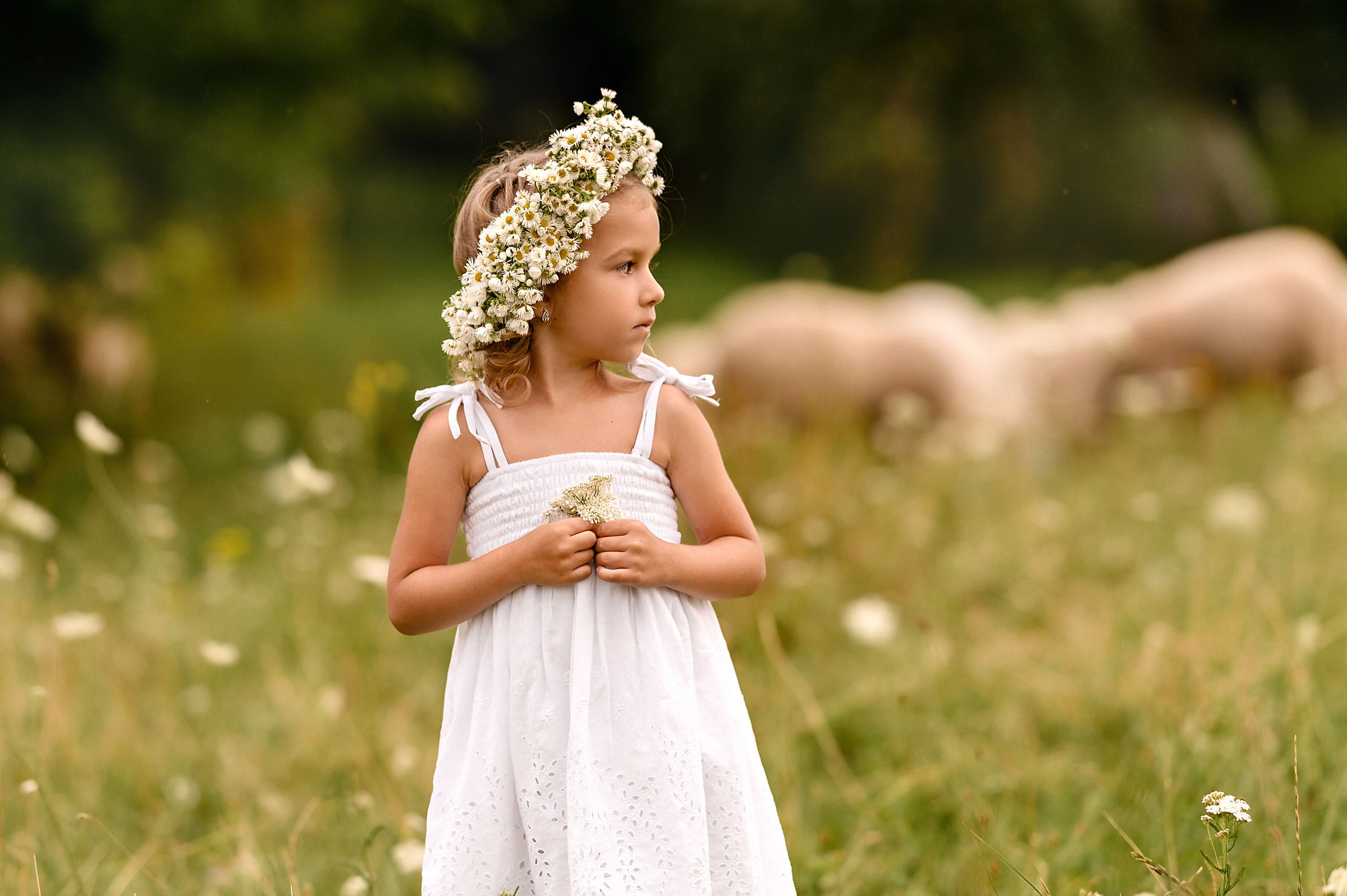 Фотографии счастья