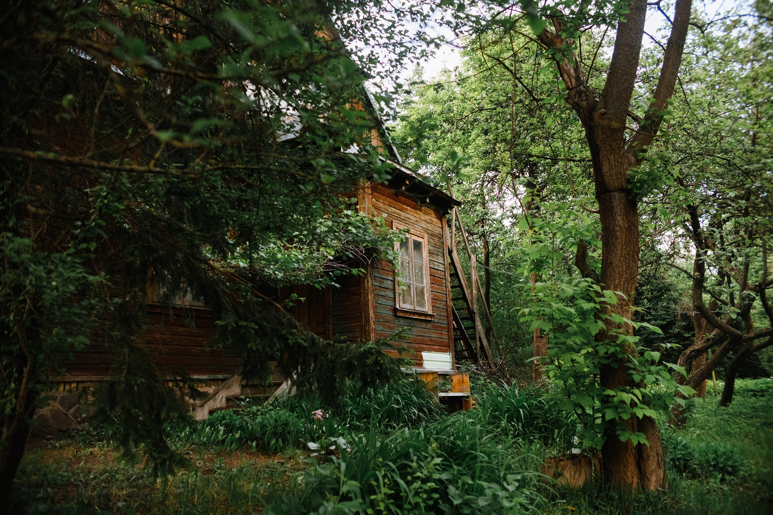 Grodno. Kaja | fotograf we Wrocławiu | ludzie i psy