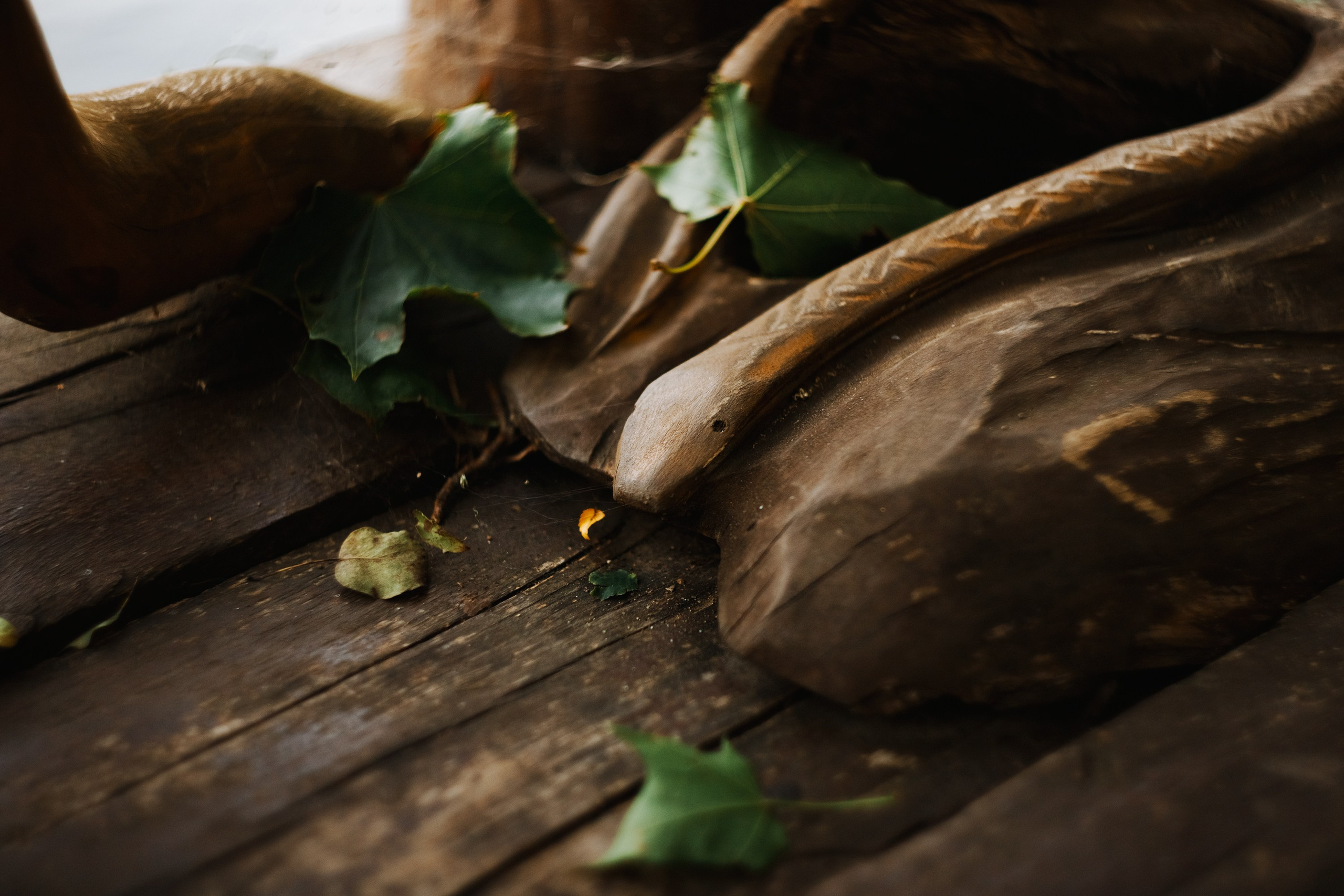 One small village in Grodno region. Kaja | fotograf we Wrocławiu | ludzie i psy