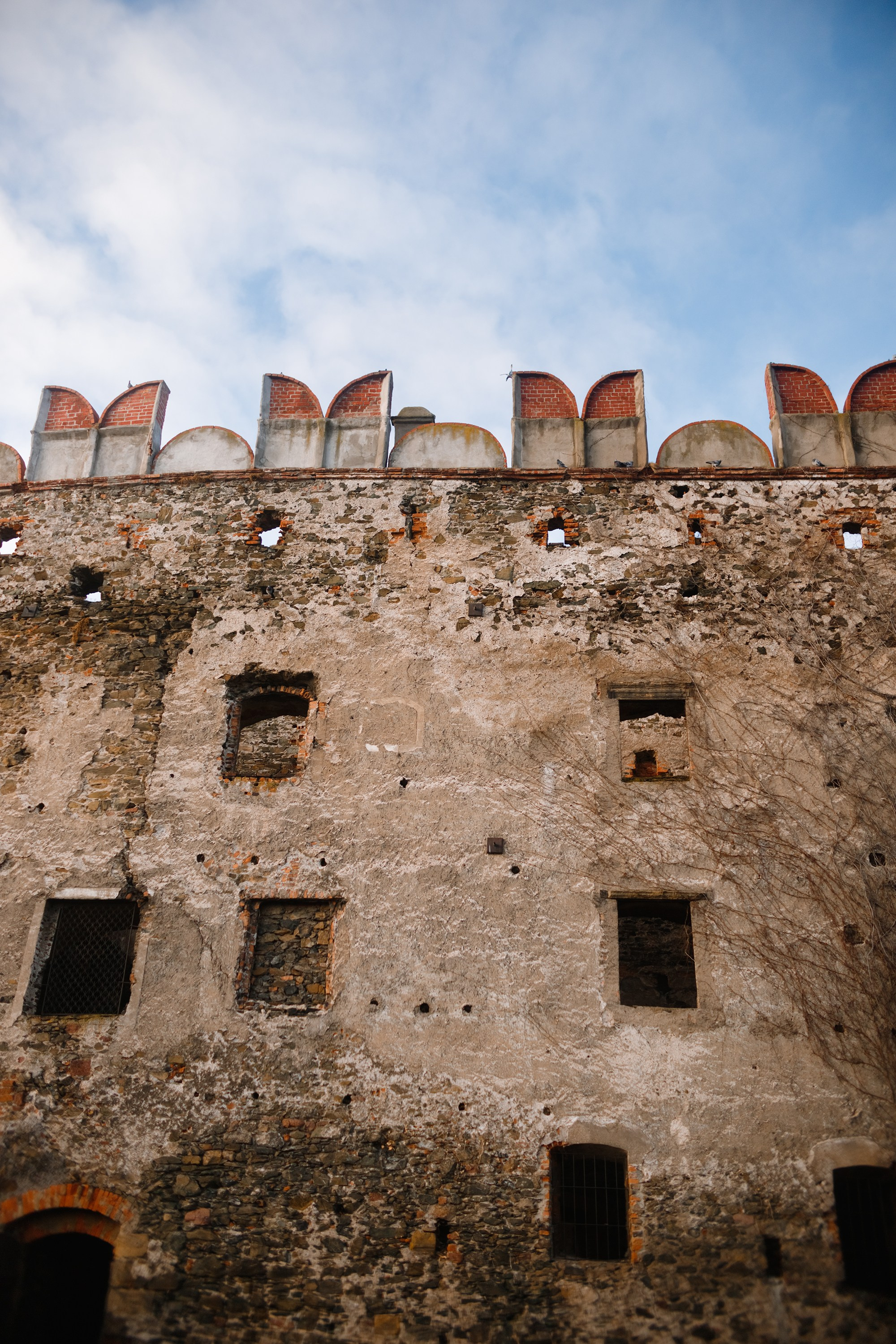Bolków castle. Kaja | fotograf we Wrocławiu | ludzie i psy