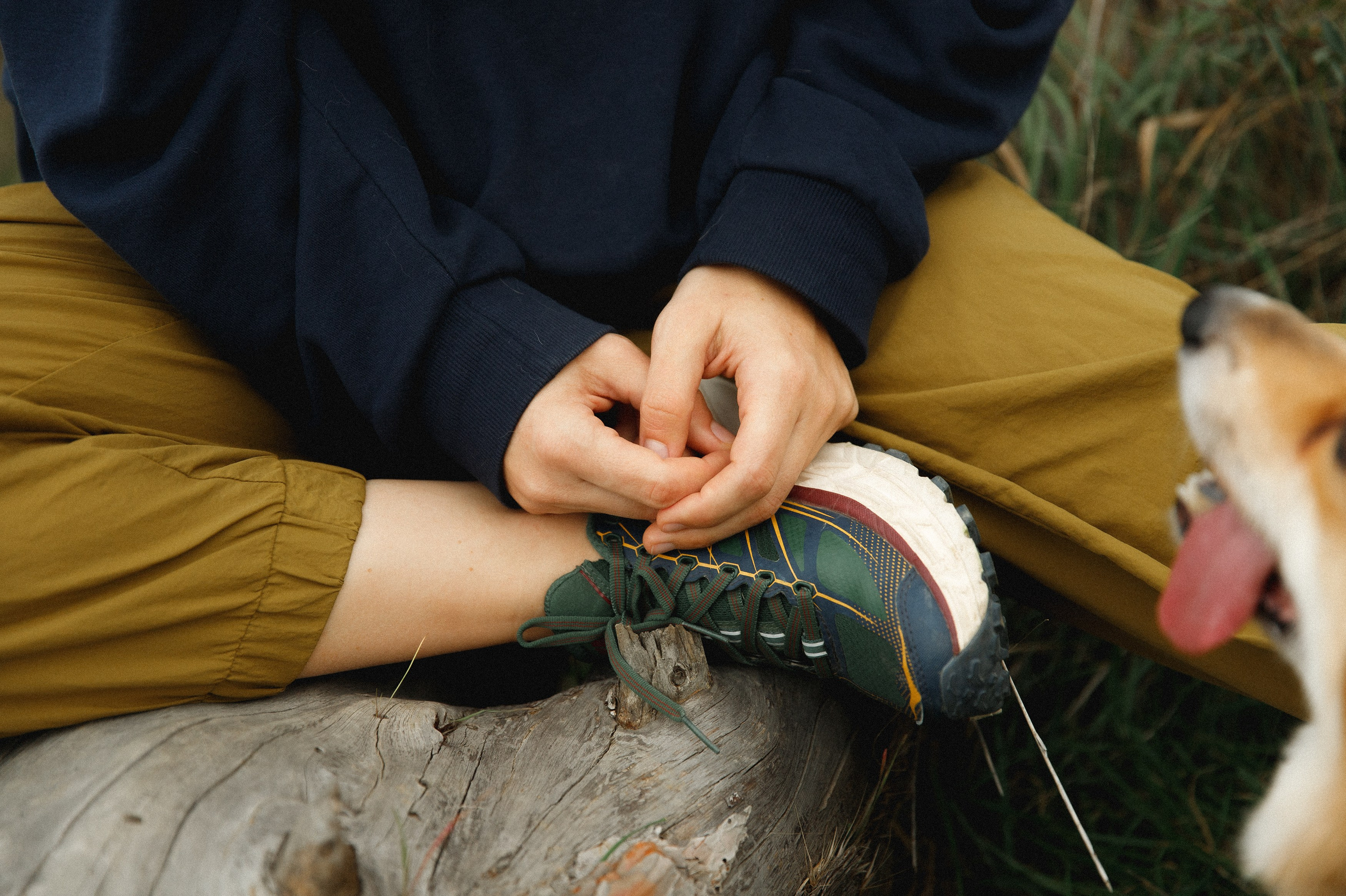 Sasha & Leonid. Kaja | fotograf psów we Wrocławiu