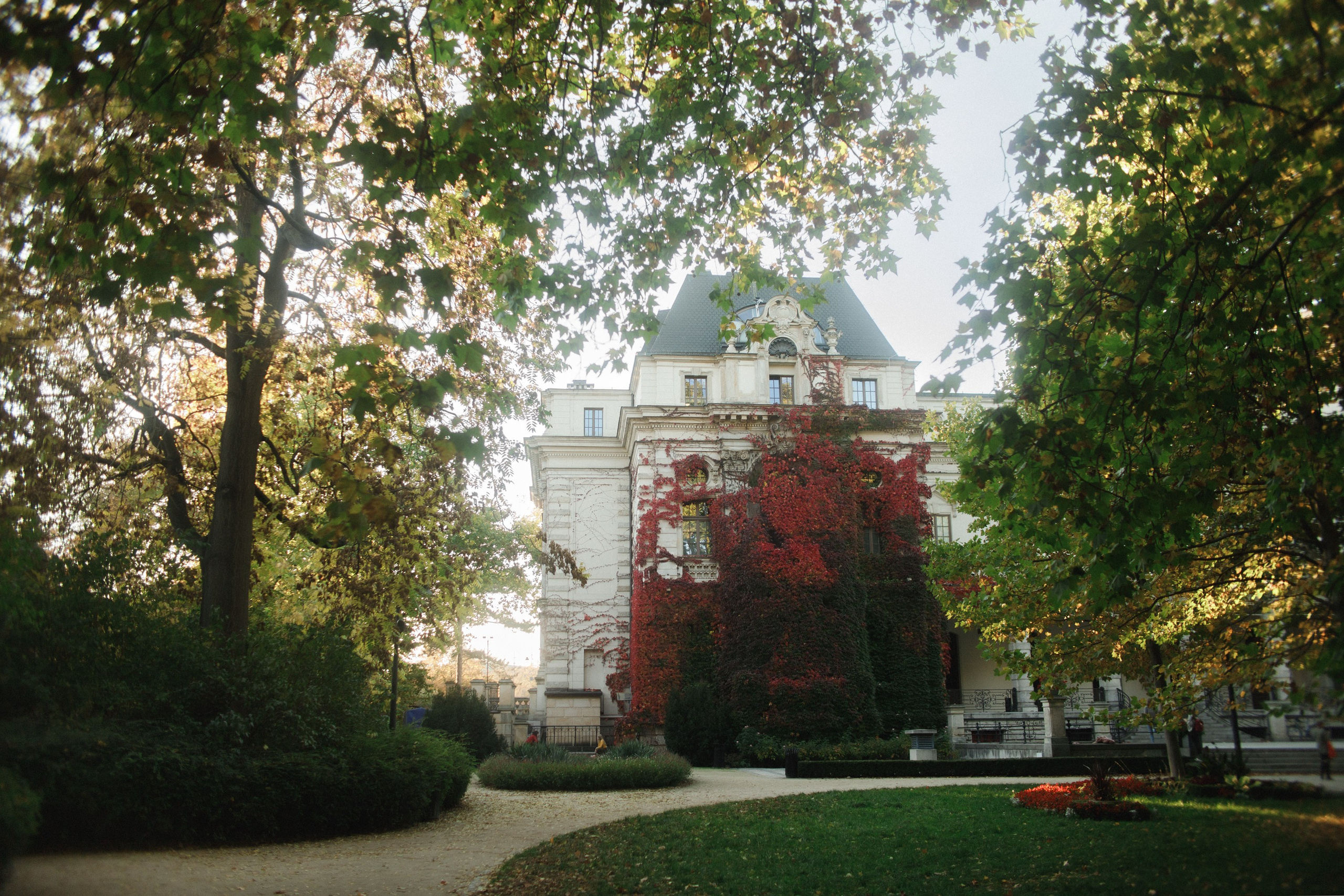 Nastya. Kaja | fotograf psów we Wrocławiu