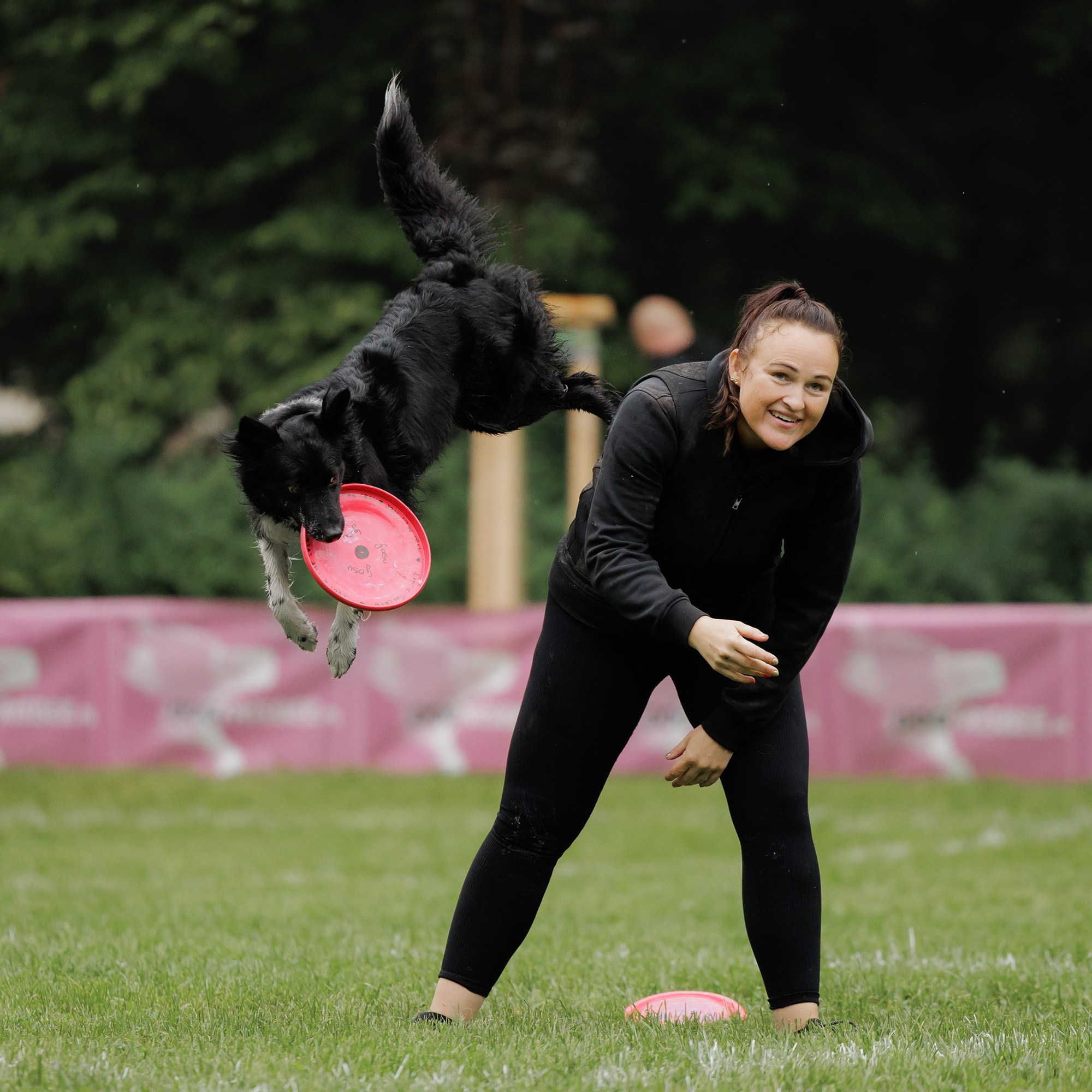 Latające psy, Wrocław'25. Kaja | fotograf psów we Wrocławiu