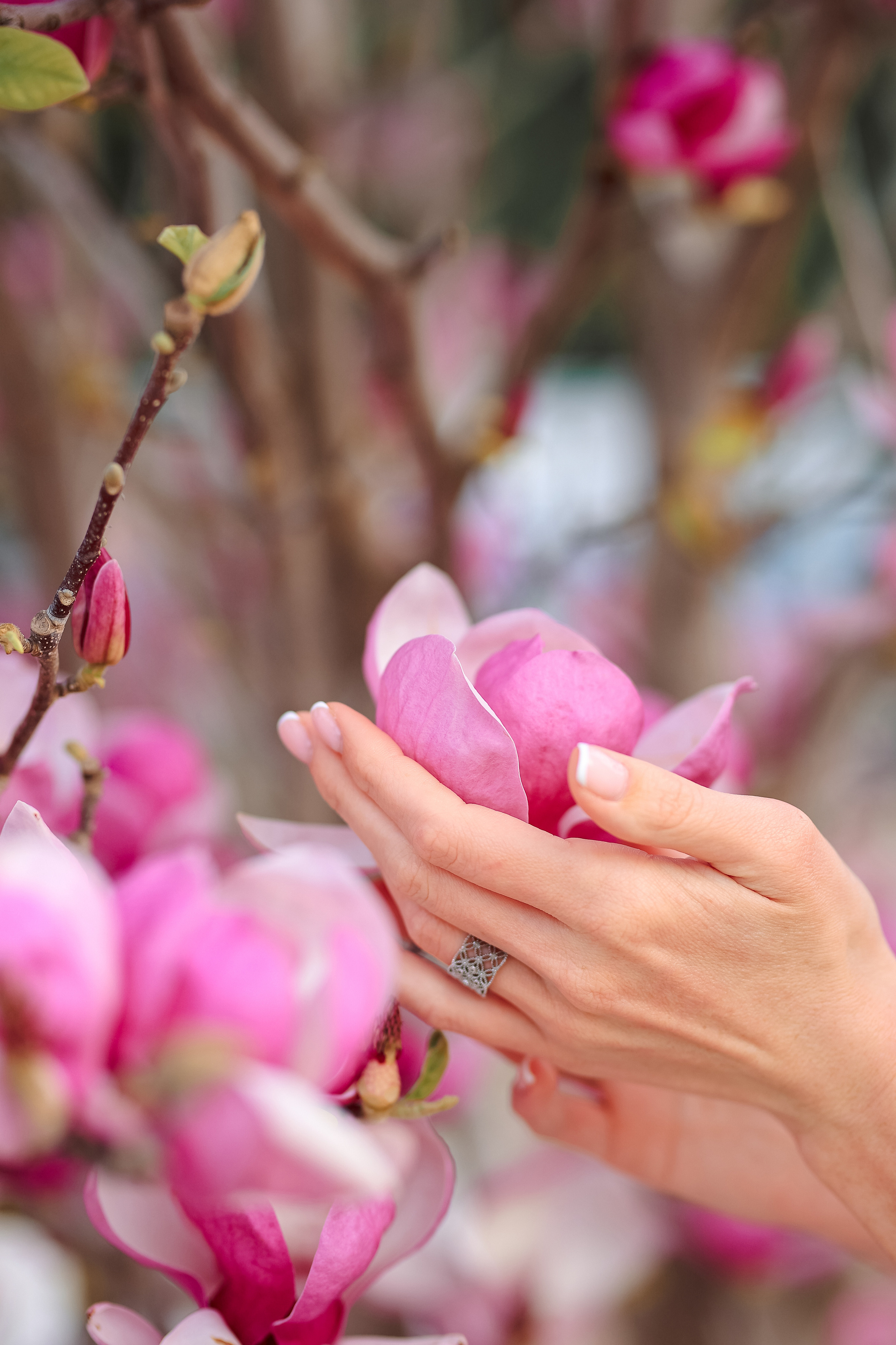 Photoshooting in magnolia. Photographer in Turkey, Antalya, Kemer, Belek, Side, Kas, Fethiye