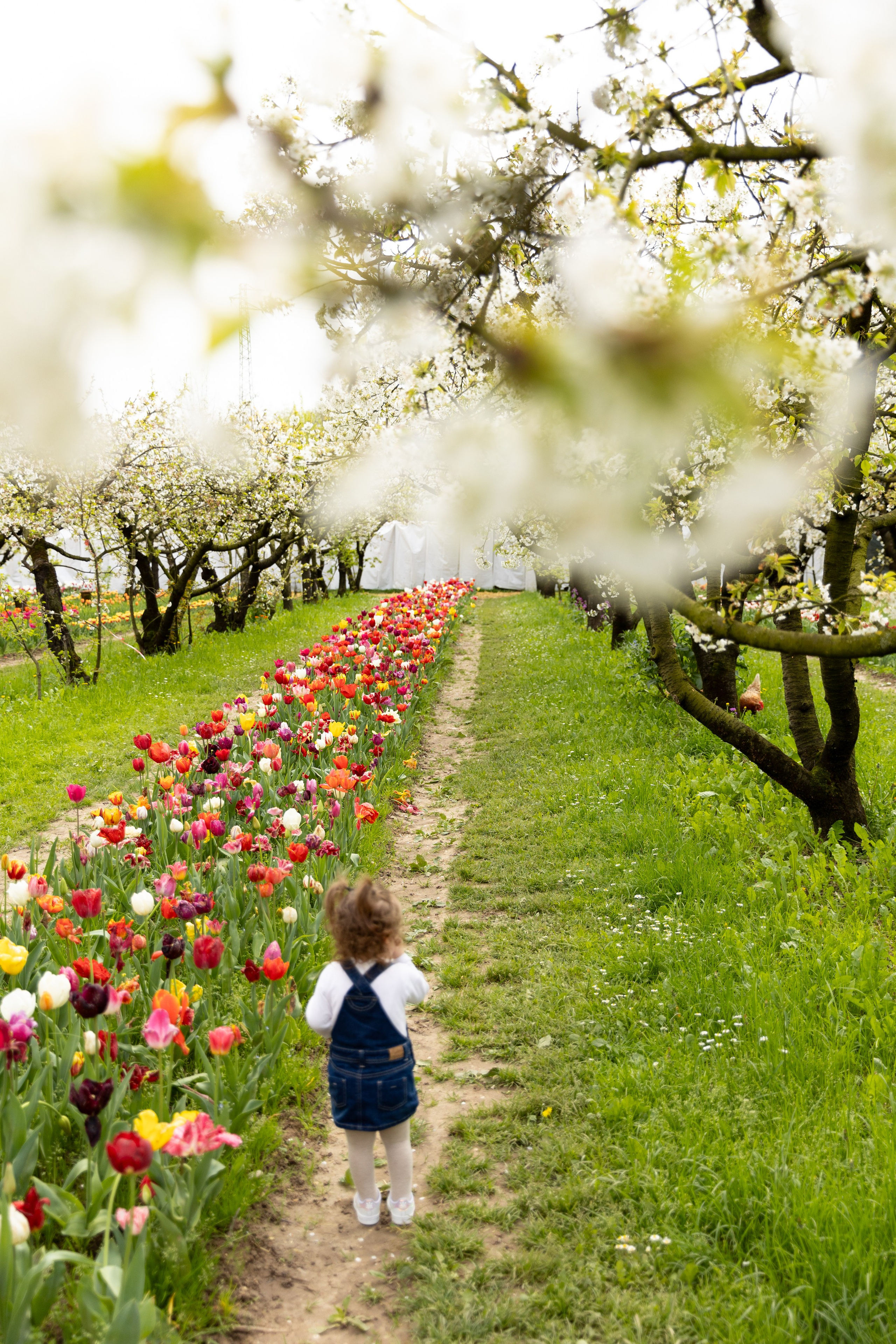 Noemi, Alessia e Sofia. Luci e Capricci Photography
