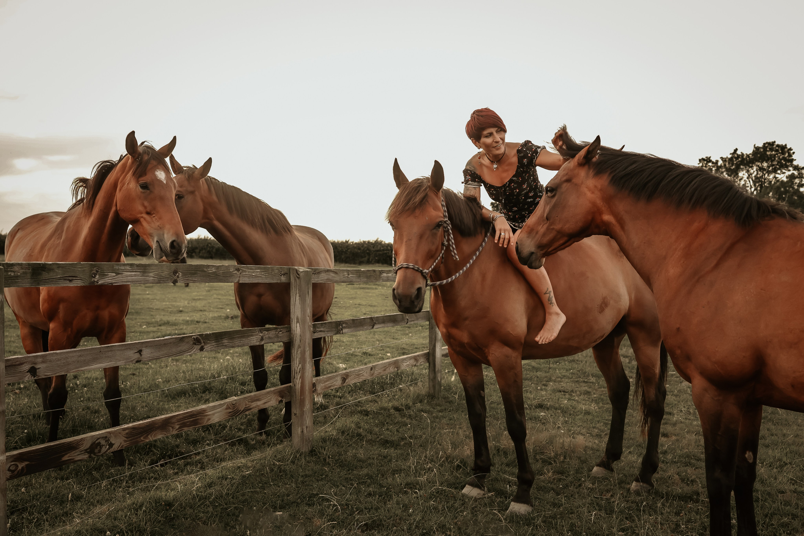 Soulmates. Photographer Co Dublin, Balbriggan — Agata Maliseva