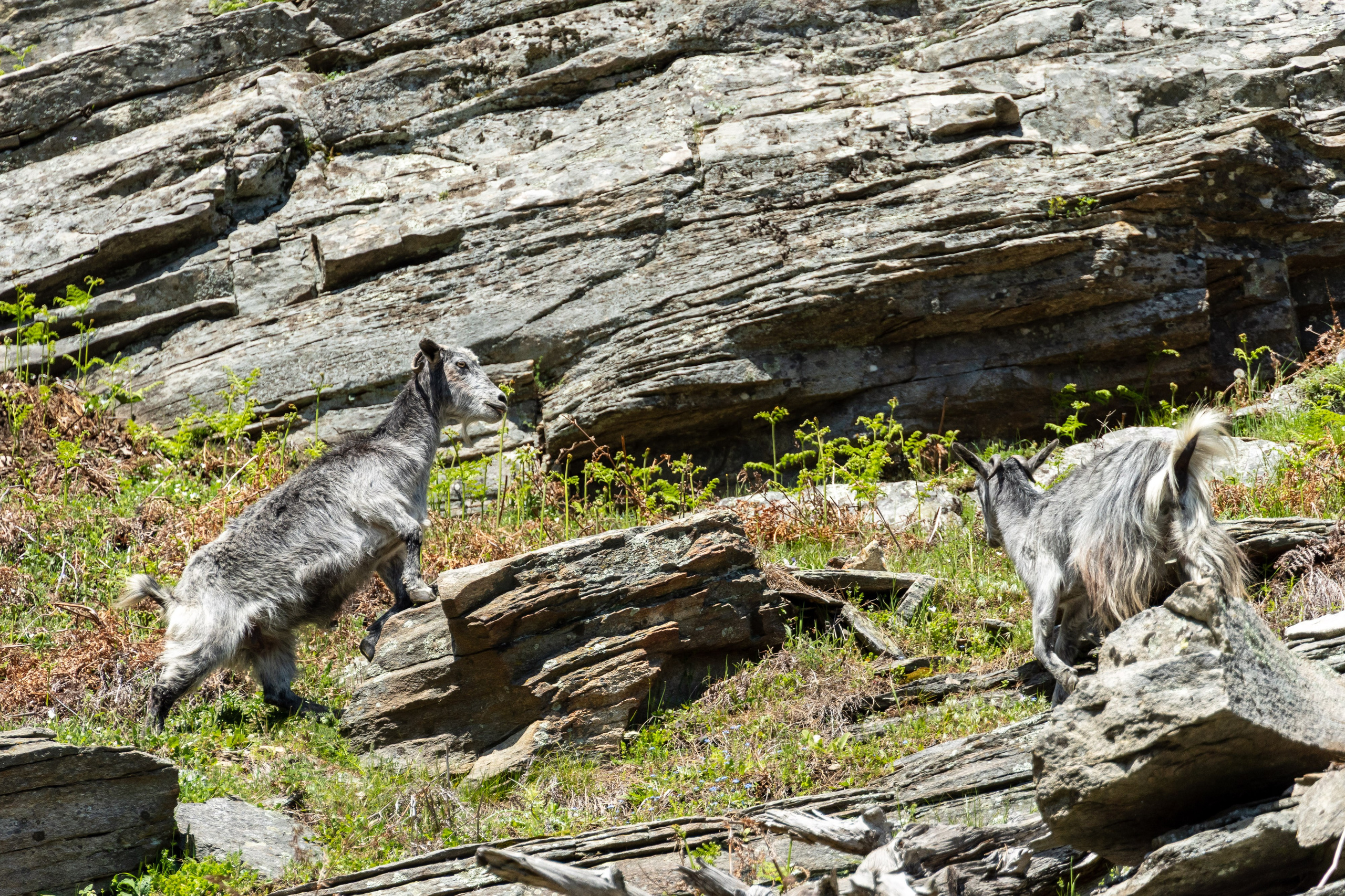 Thasos 2025. Fotografiideplacere.net