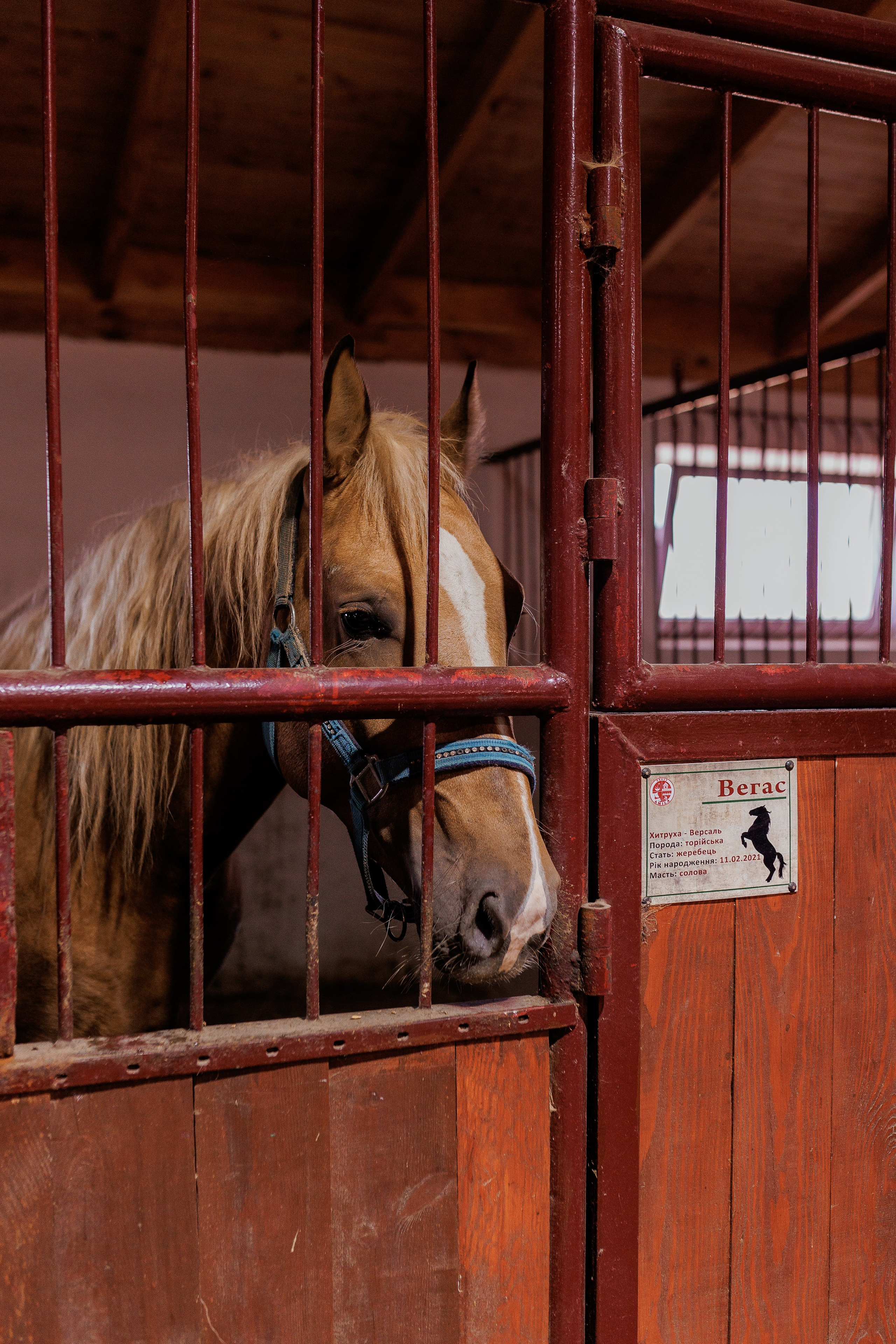 Екопарк Аміла. Ірина Терещук