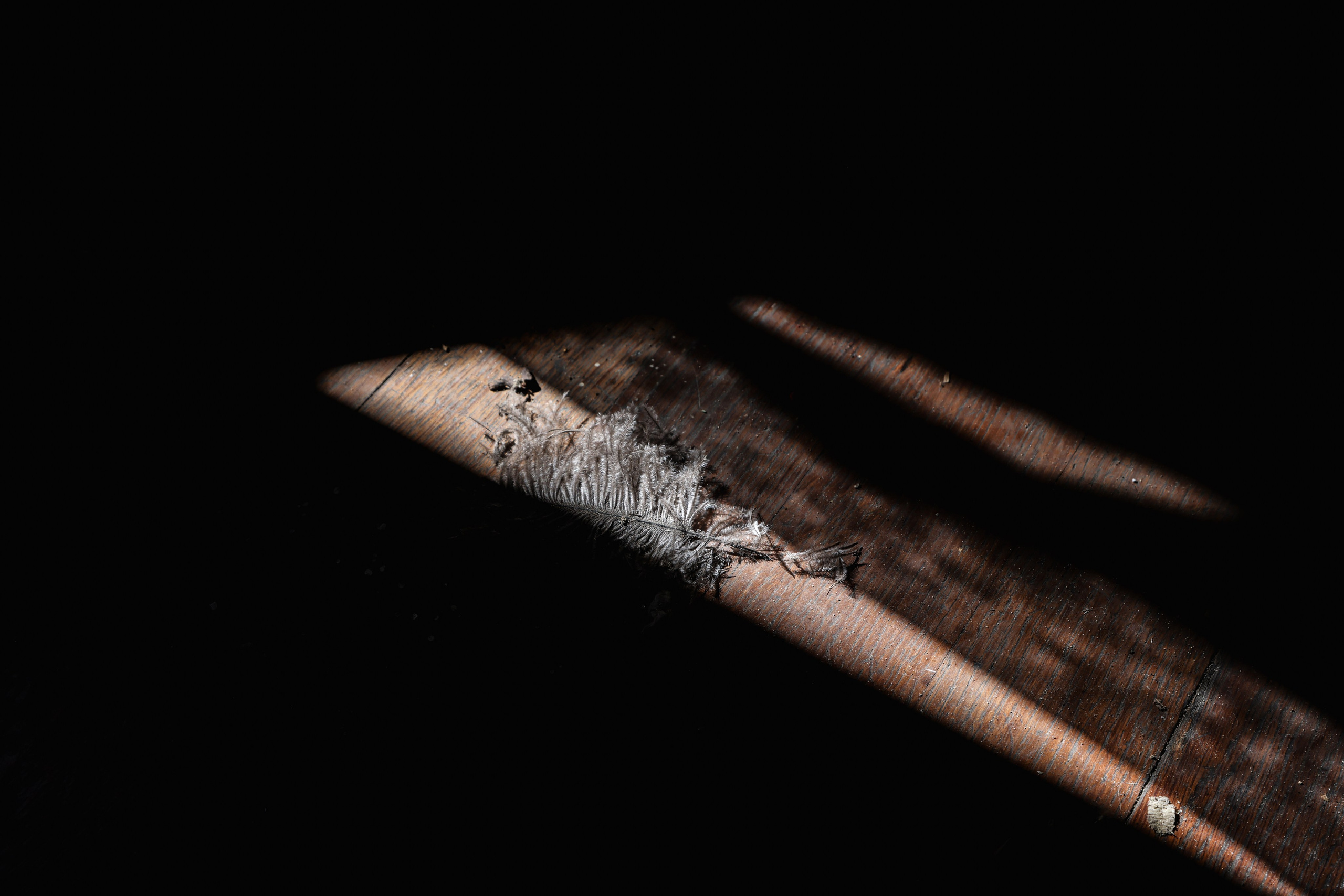 MAISON AU BOIS DORMANT. Natalia Bogdanovska. Films et photographie corporate en France