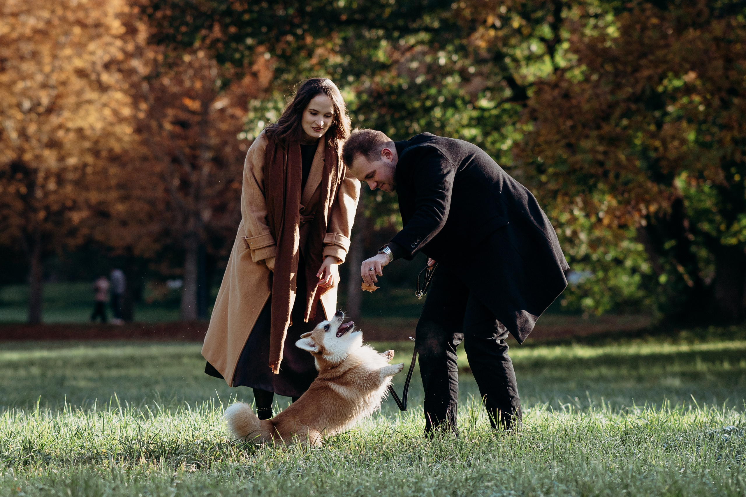 Liisa, Alexander & Marsel. Фотограф-анималист в Таллинне, Катя Лайсаар