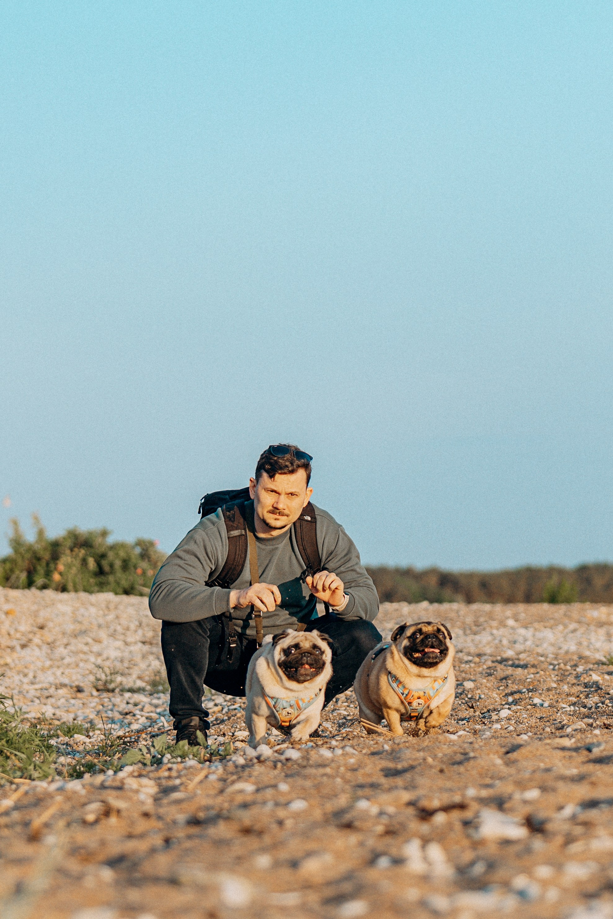 Frank, Tony, Katerina & Lev. Kat Laisaar — Pet photographer in Tallinn