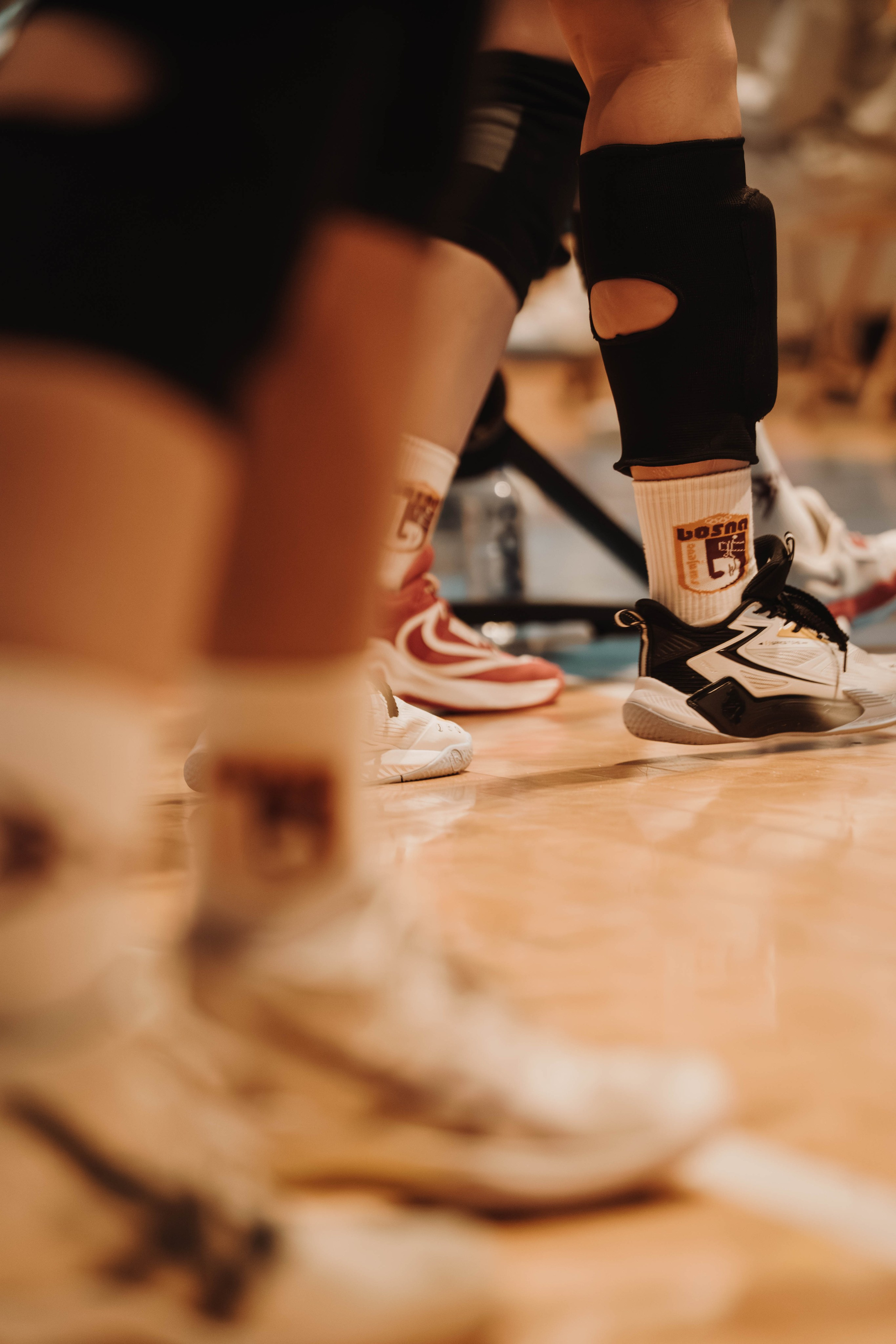 ŽOK Bosna — 2025/2026