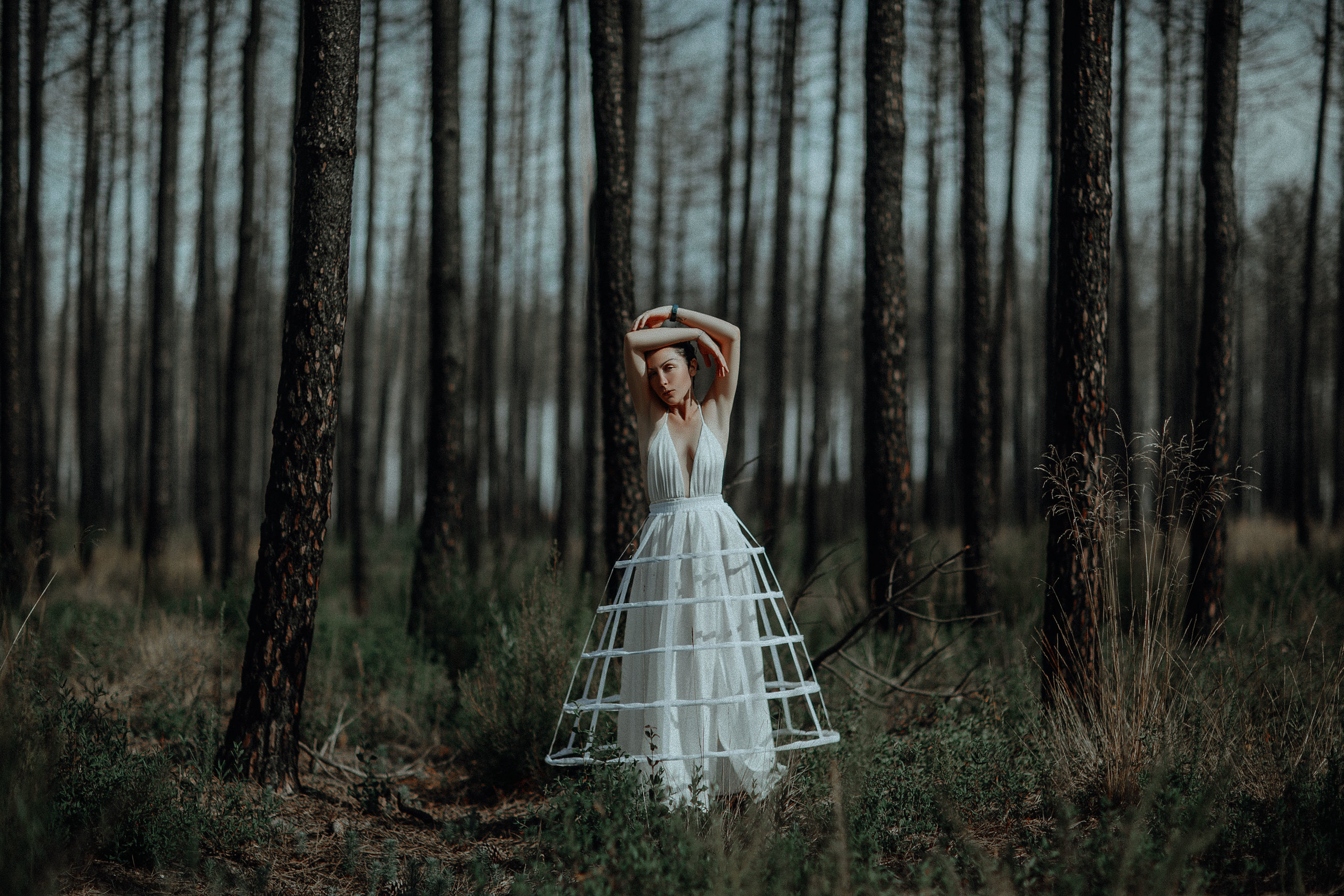 Eucalyptus. Fine Art & Portrait Photographer in Warsaw | Katerina Klio
