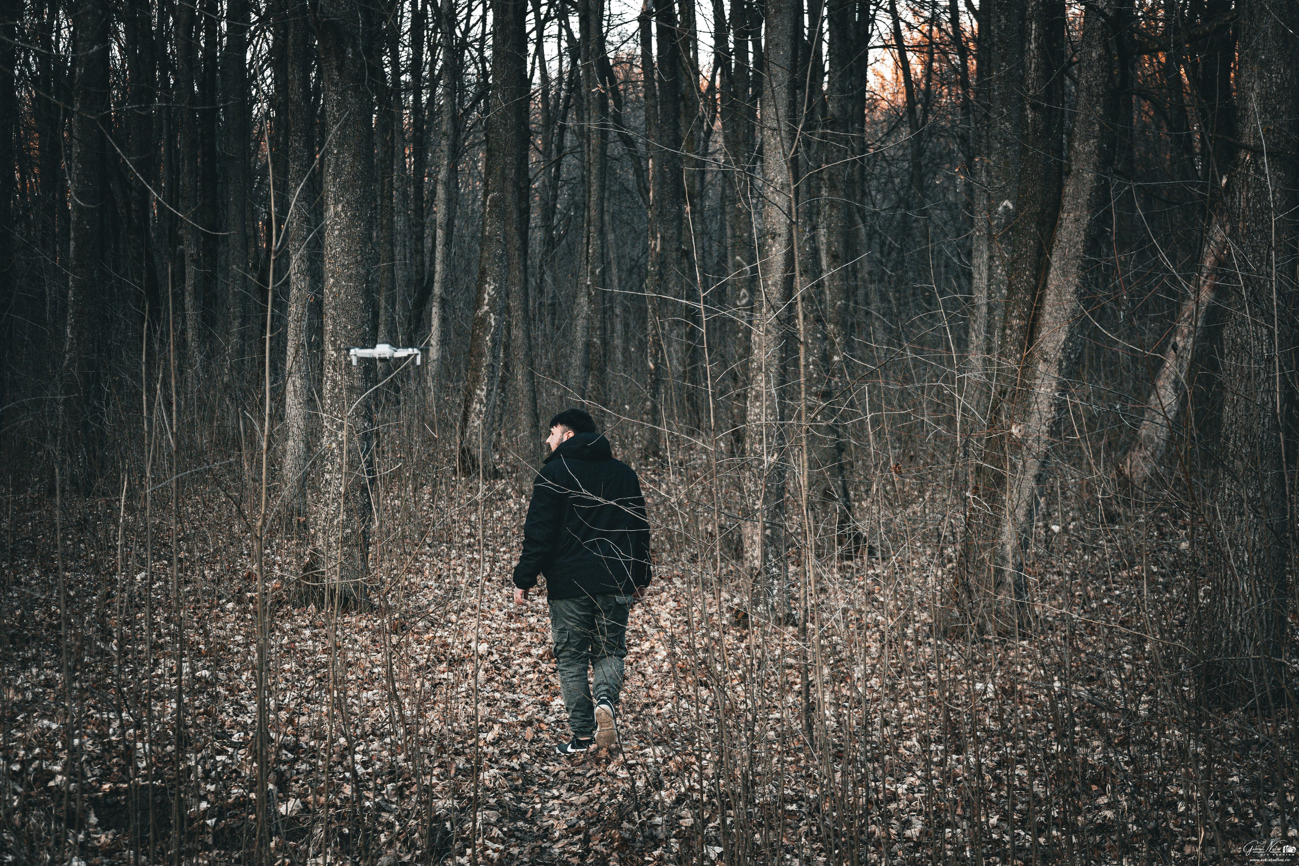 Căutarea. Gabriel Nistor Art-Studios - Fotografo / Videografo Iasi