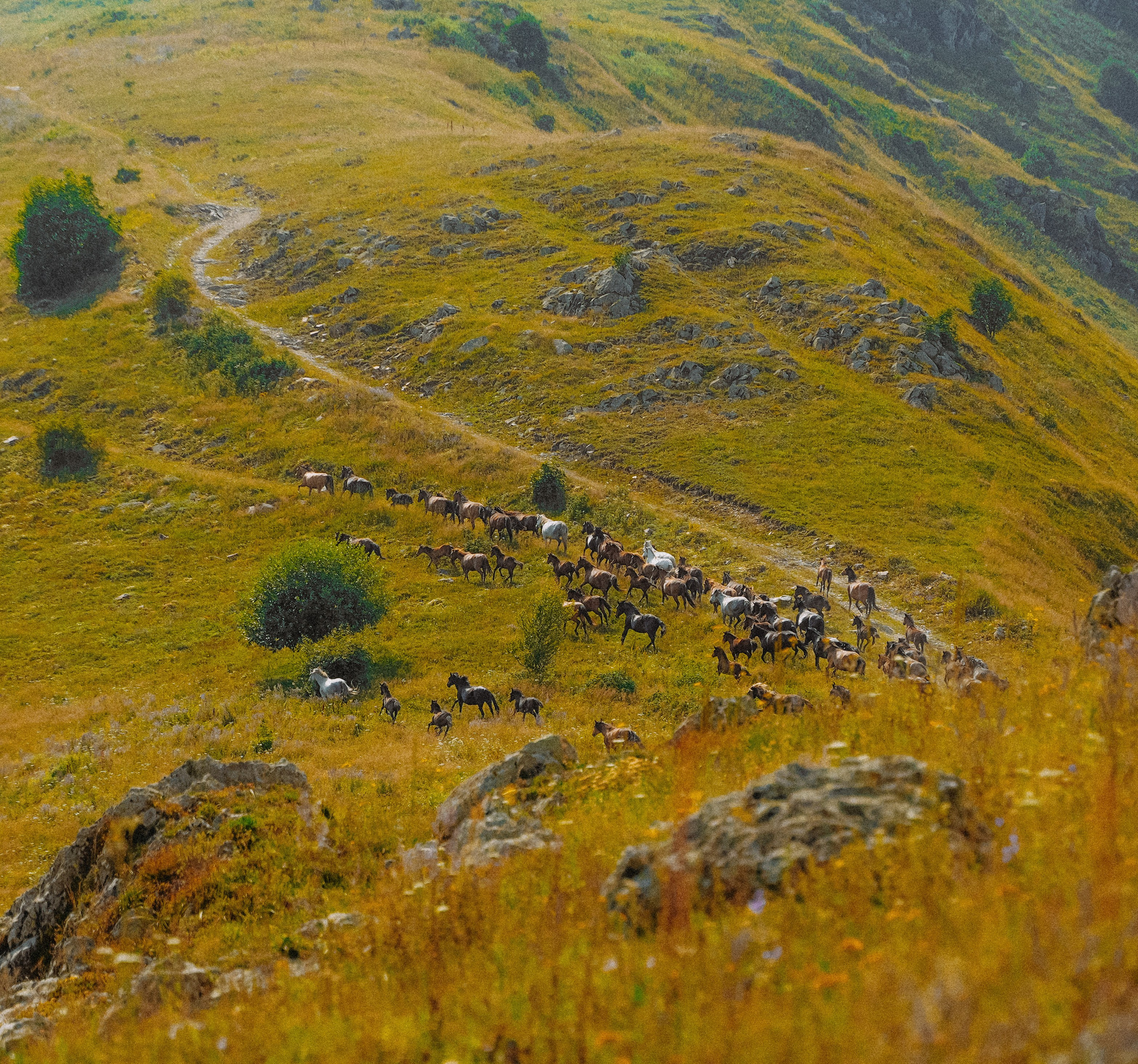 ПЕЙЗАЖИ. Стрит-фотография, полная абсурда, идиотизма и красоты