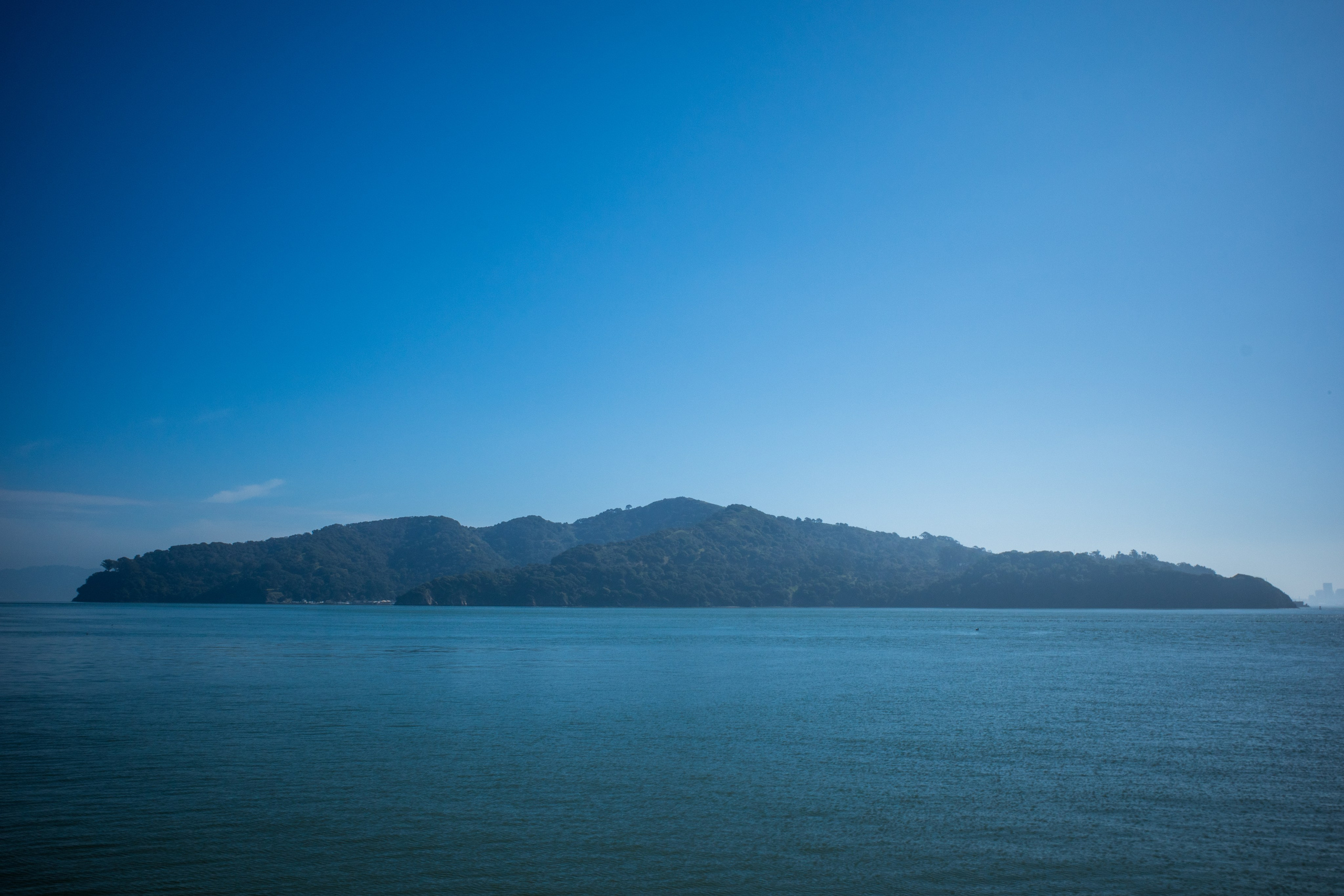 San Francisco. Aleks.photo | Book a photoshoot