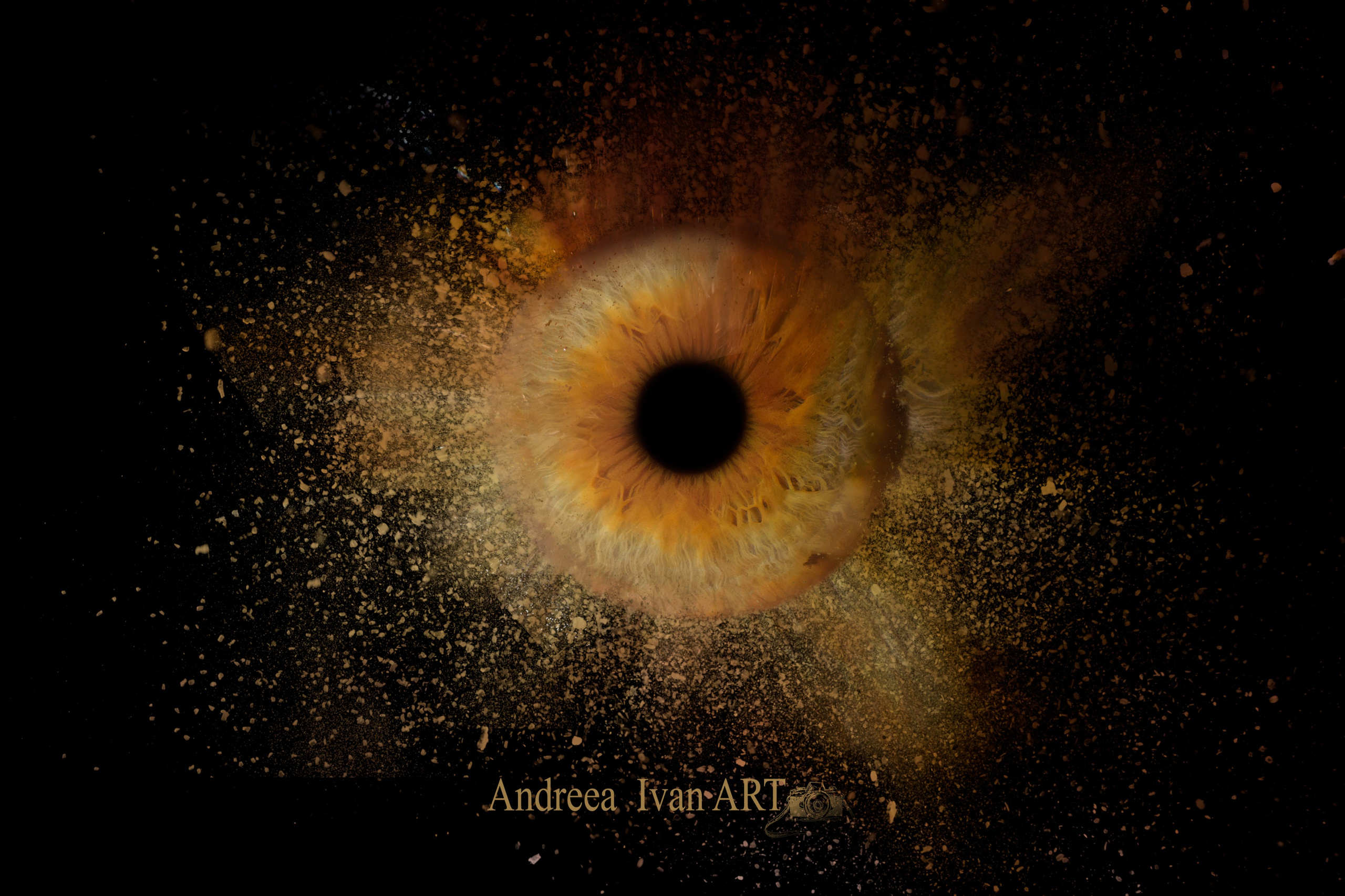 Andreea Ivan art-Fotograf Constanta, Fotograf profesionist Constanta, Fotograf de nunta, botez, sedinte foto cu tematica, portret. Andreea Ivan art-Fotograf Constanta, Fotograf profesionist Constanta, Fotograf de nunta Constanta, botez, sedinte foto cu tematica, portret