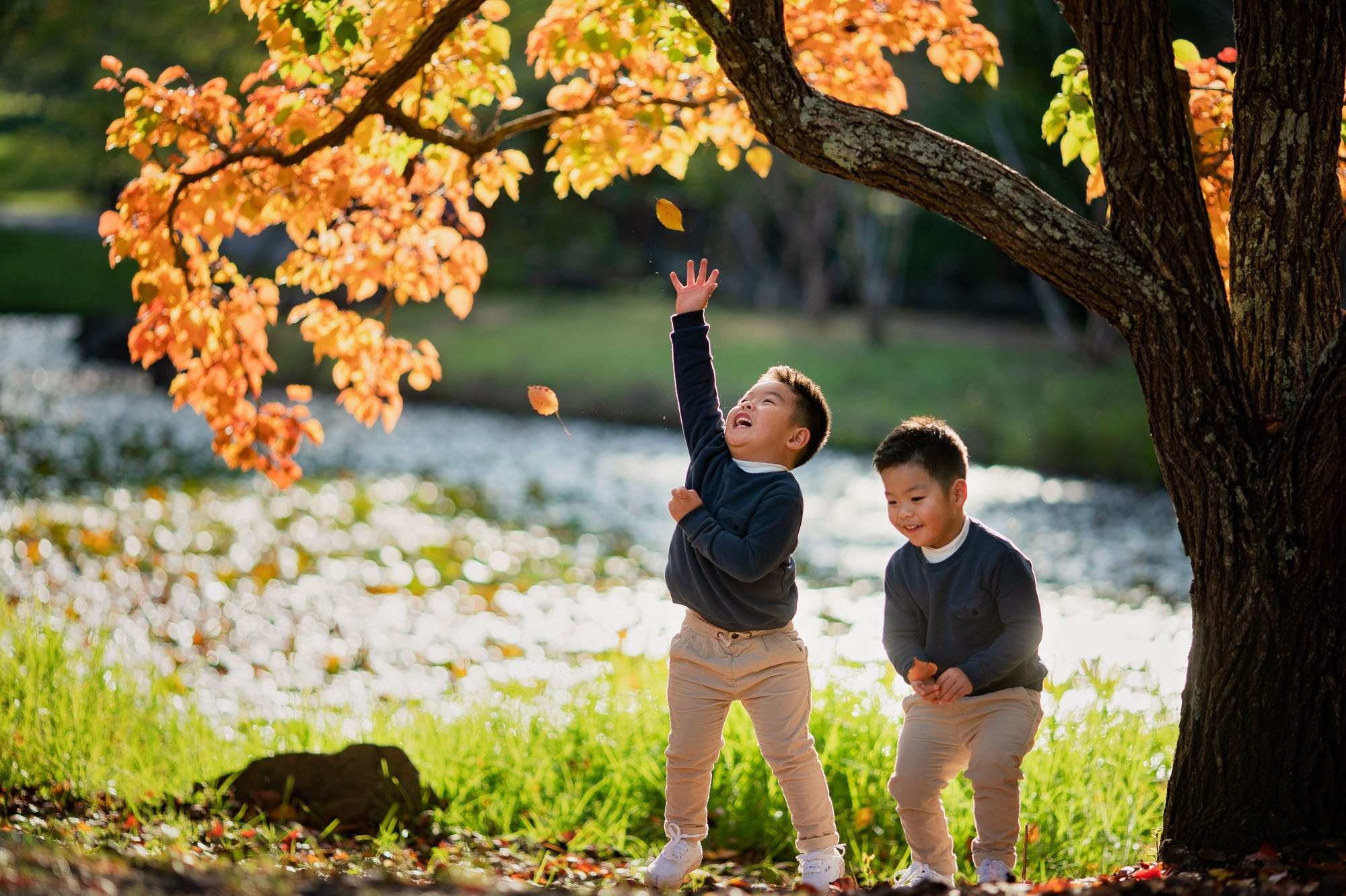Autumn Family Photography in Sydney. Family and Maternity Photography in Sydney, Hills District