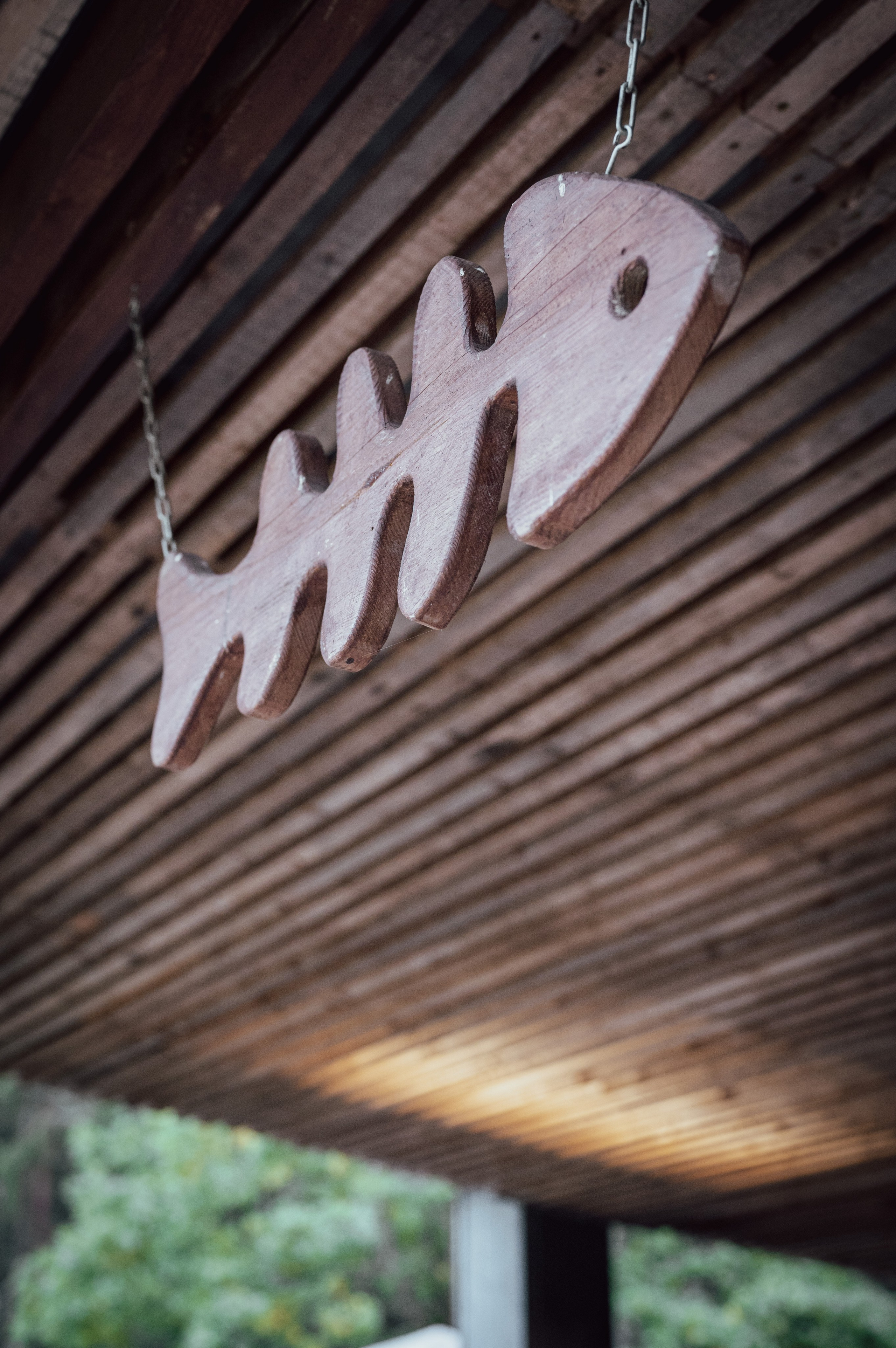 Мероприятия. Фотограф Сергей Трифонов