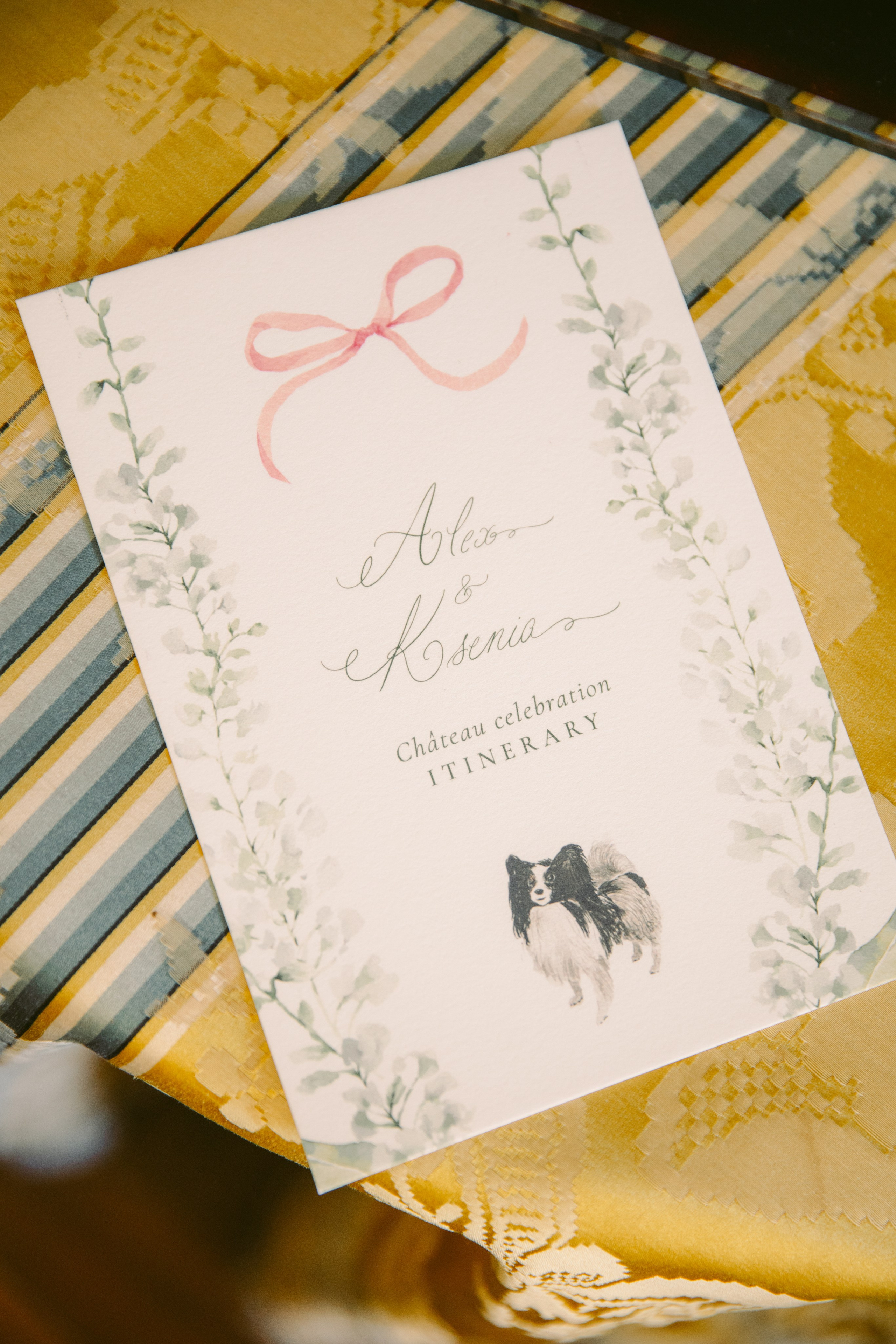 Xenia & Aleksey. Photographer in Paris