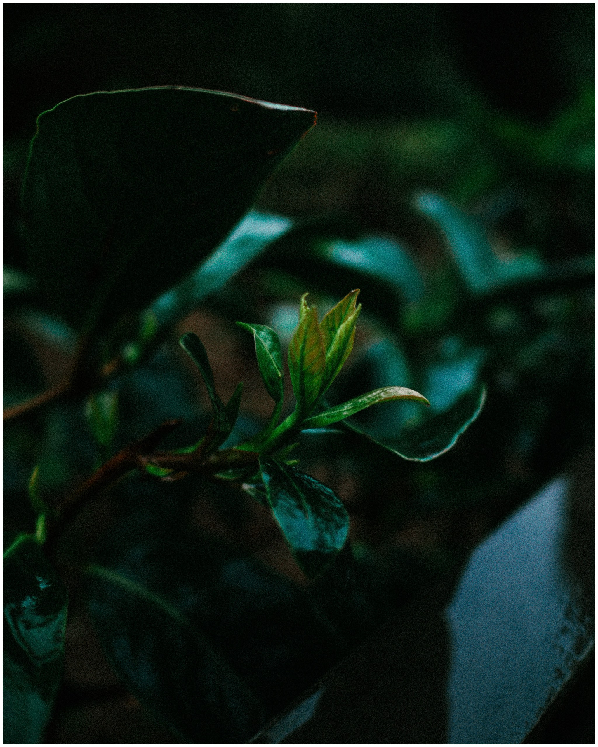 BARCELONA. Inna Mendelson — Photographer