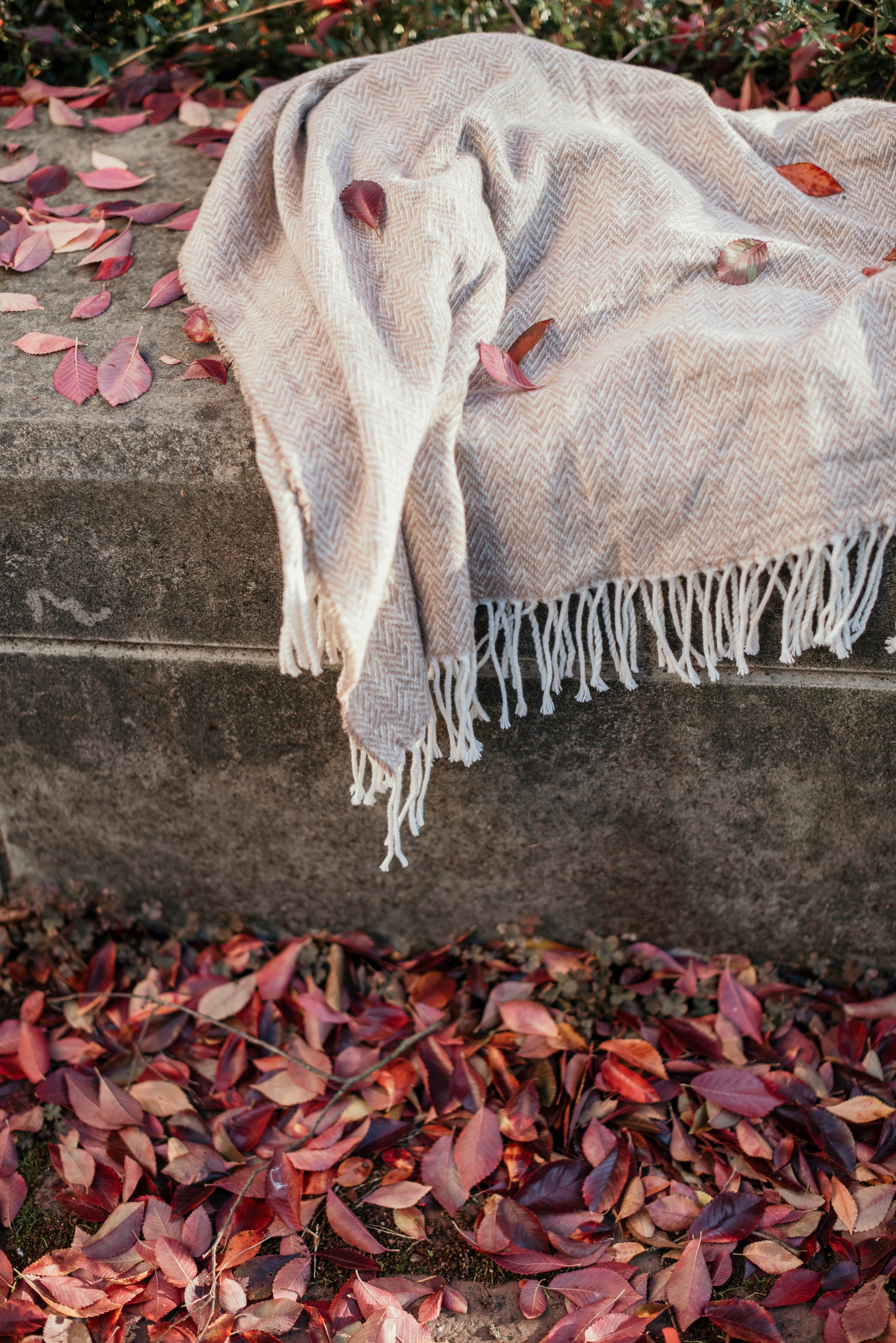 Mark & Julieta. Newborn, pregnancy, family photographer in New Jersey