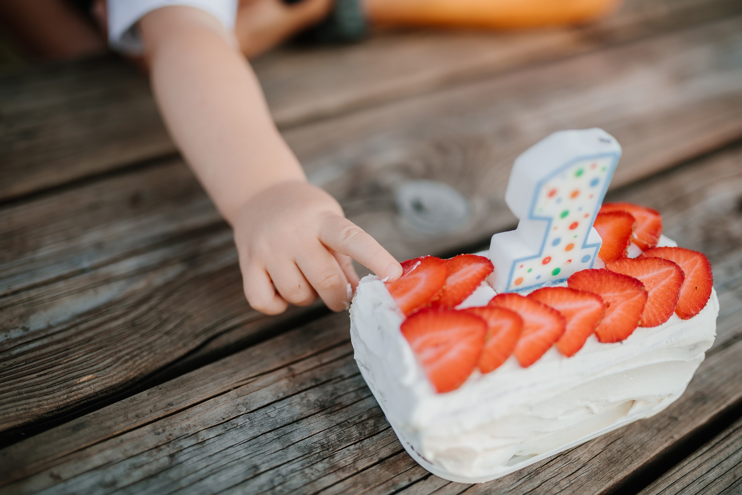 07.08.24 Family Photoshoot. Wedding family event photographer in Chicago Nick Yushevich