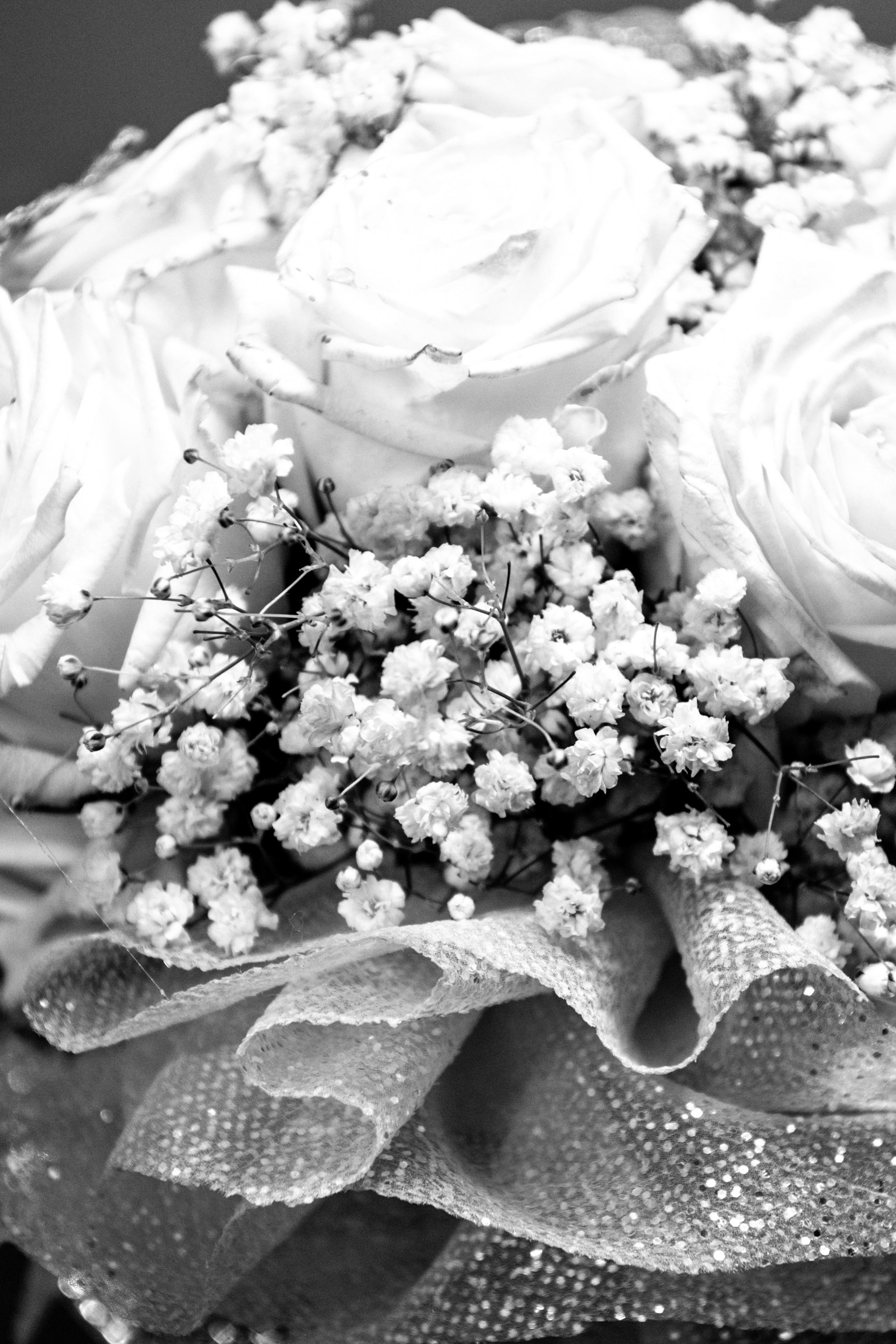 Pavel & Yveta. Svatební fotograf a kameraman v Česku a po celé Evropě — Teplice, Ústí nad Labem, Praha, Drážďany