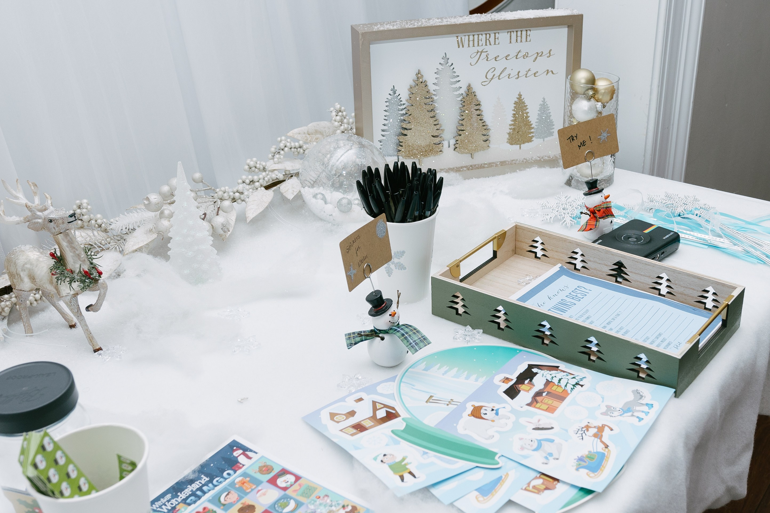 Twins Birthday. Sara Eulalia | Virginia Photographer