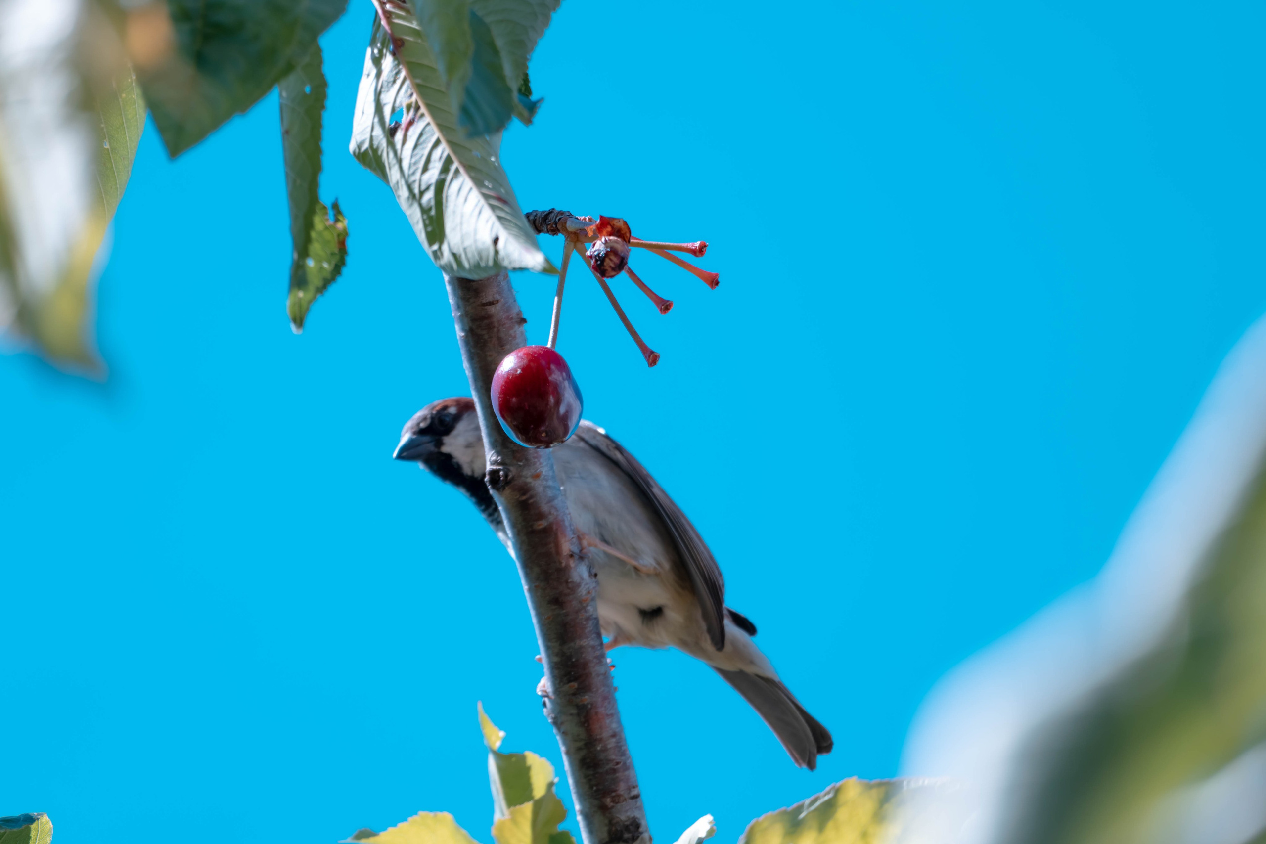 Bocetos. Alba del Norte Studio