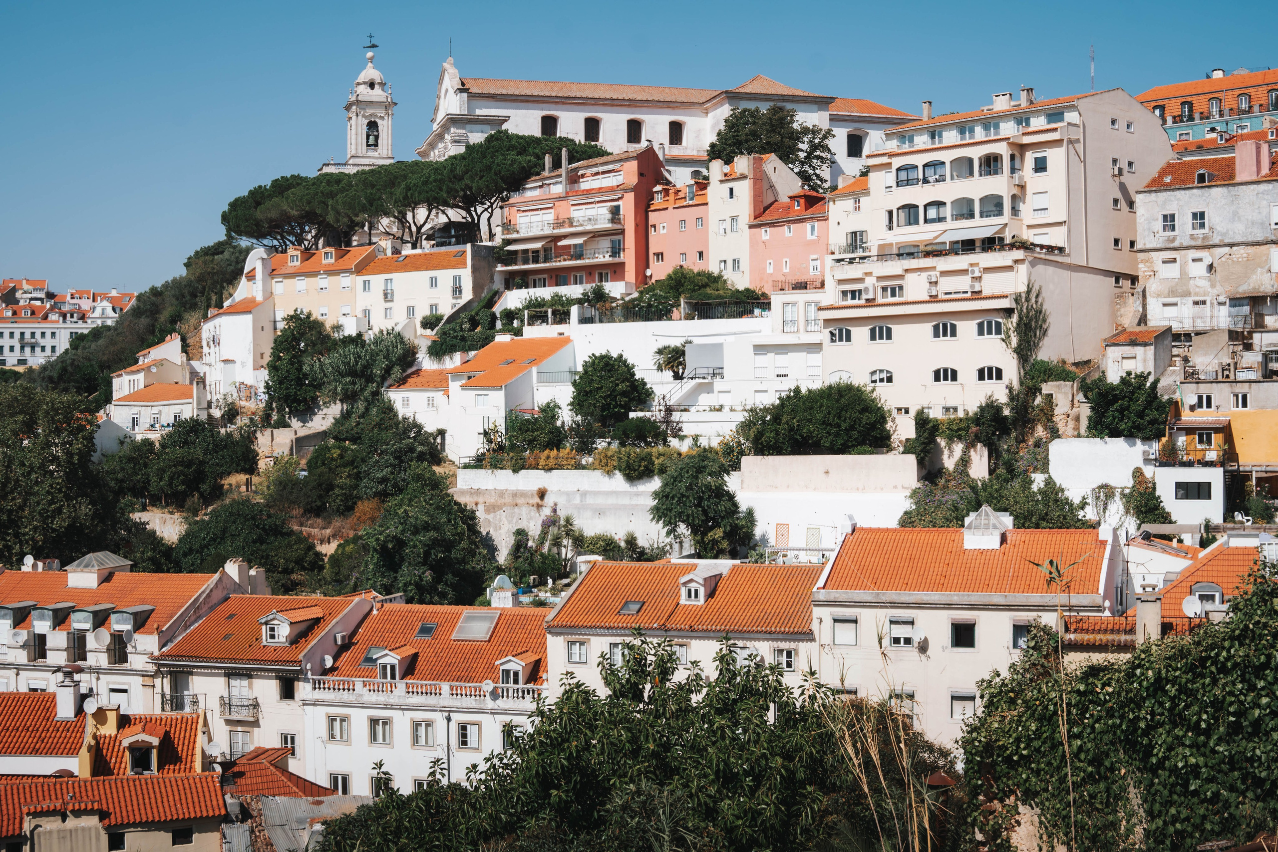 Lisboa, Agosto 2024. Alba del Norte Studio