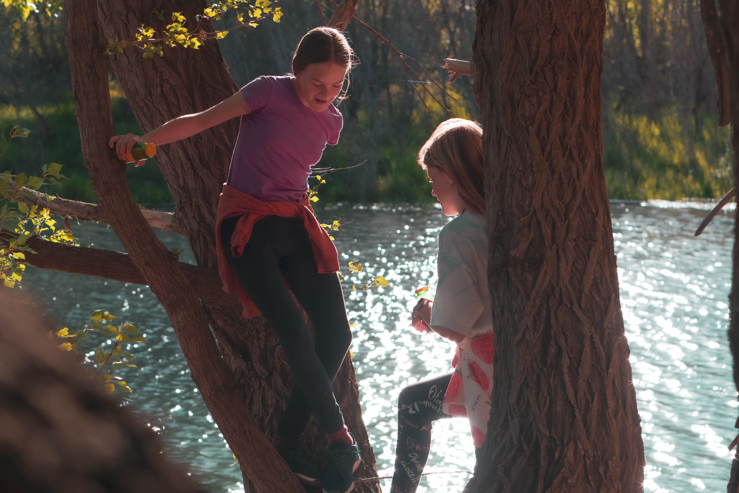 Noa&Agnia. Alba del Norte Studio