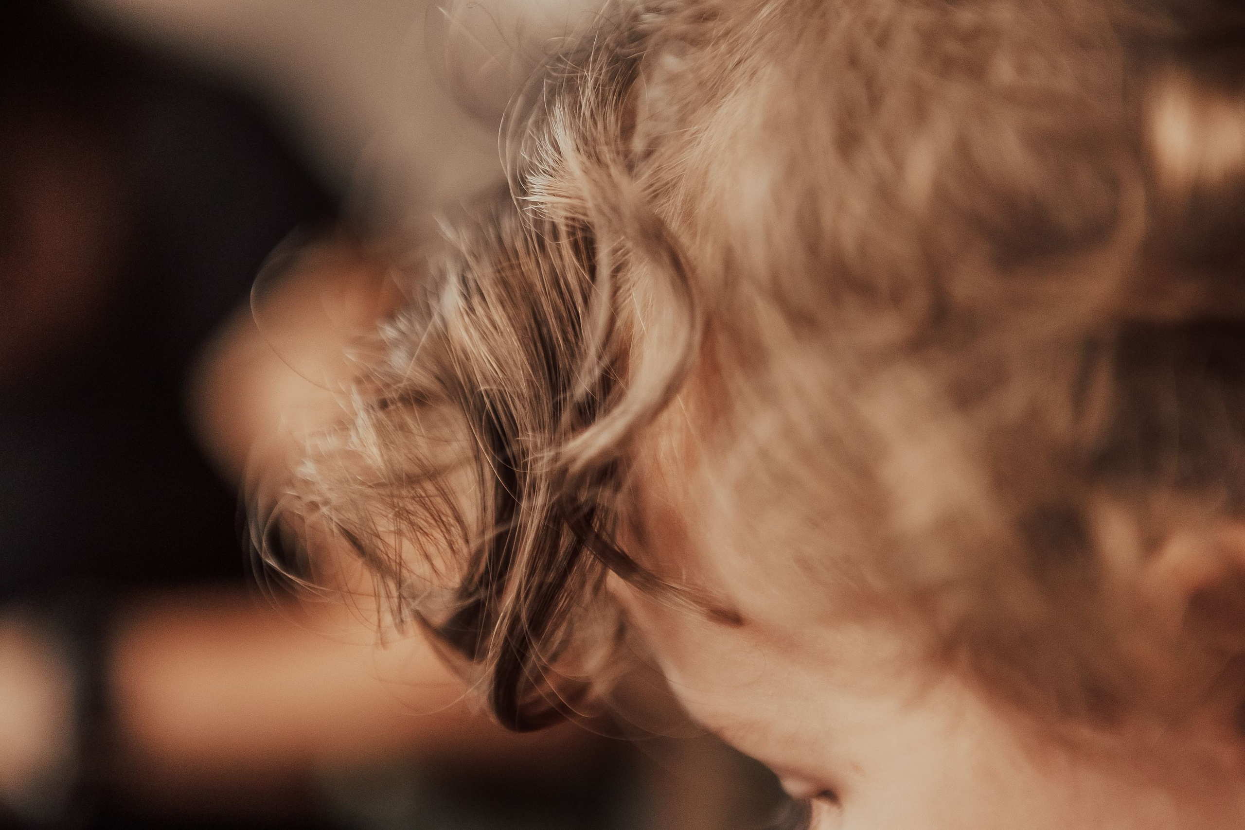 Рожден Ден. Фотограф Ирина Йотова