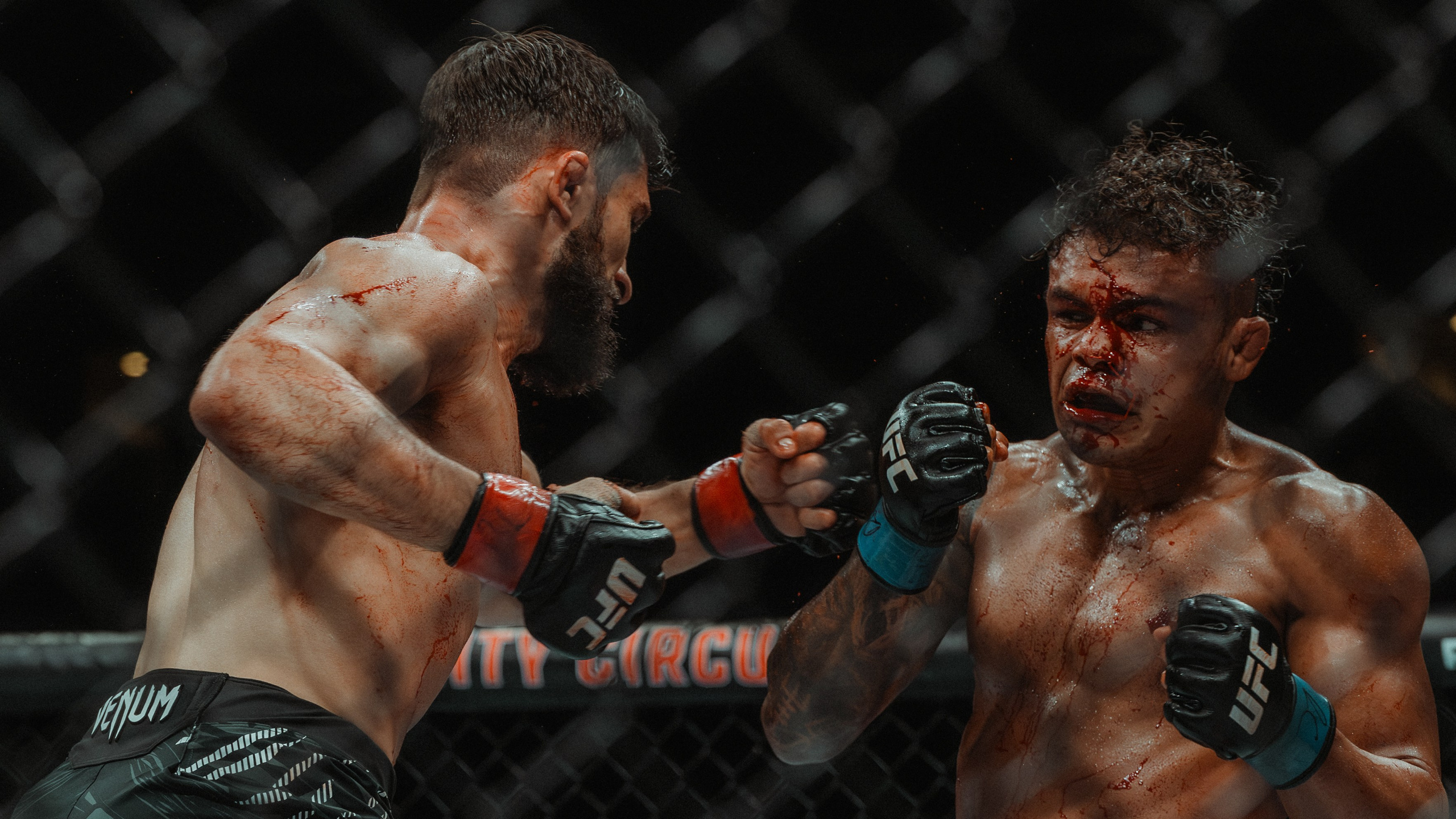 UFC. Commercial and Event photographer Eltaj