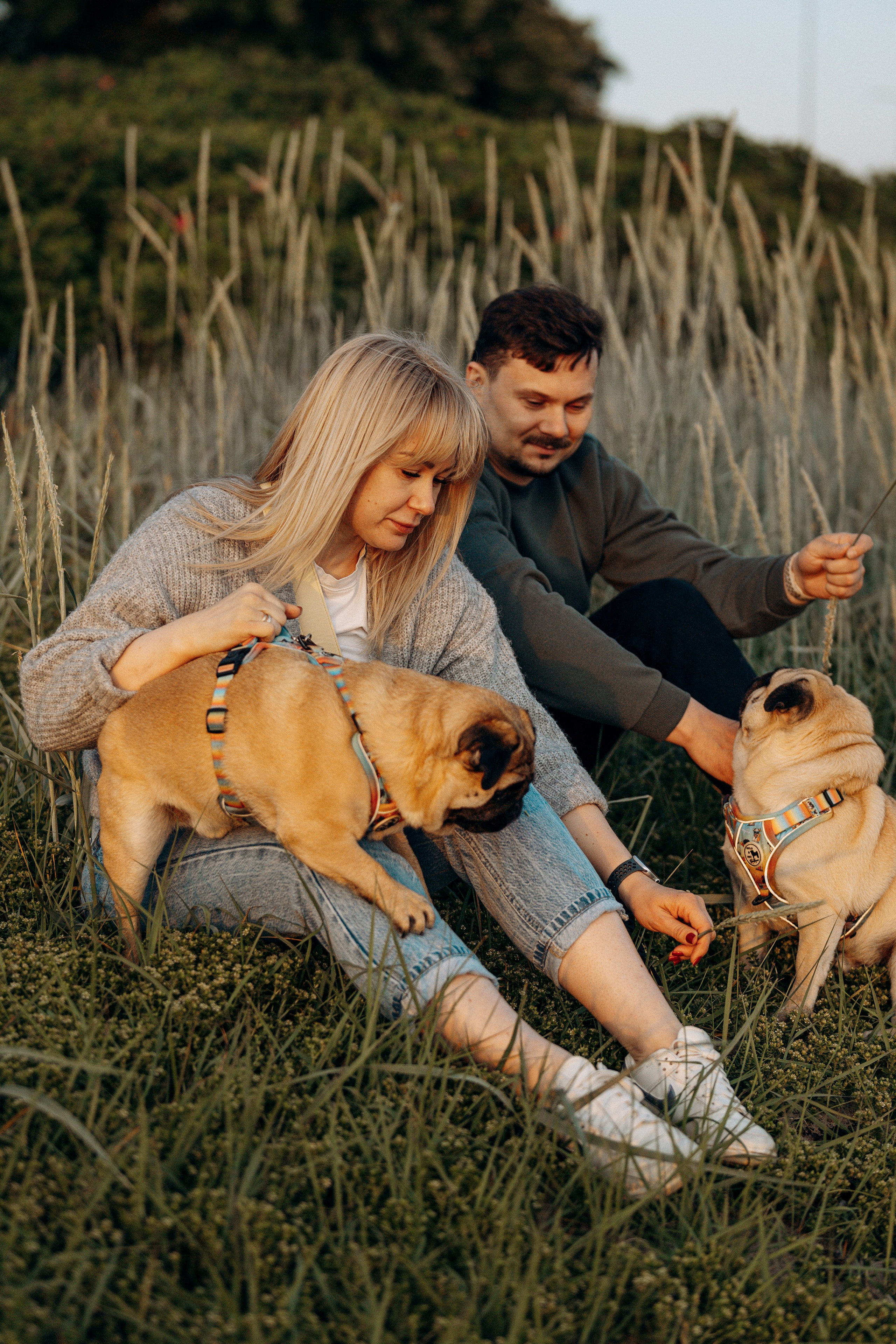 Frank, Tony, Katerina & Lev. Kat Laisaar — Pet photographer in Tallinn