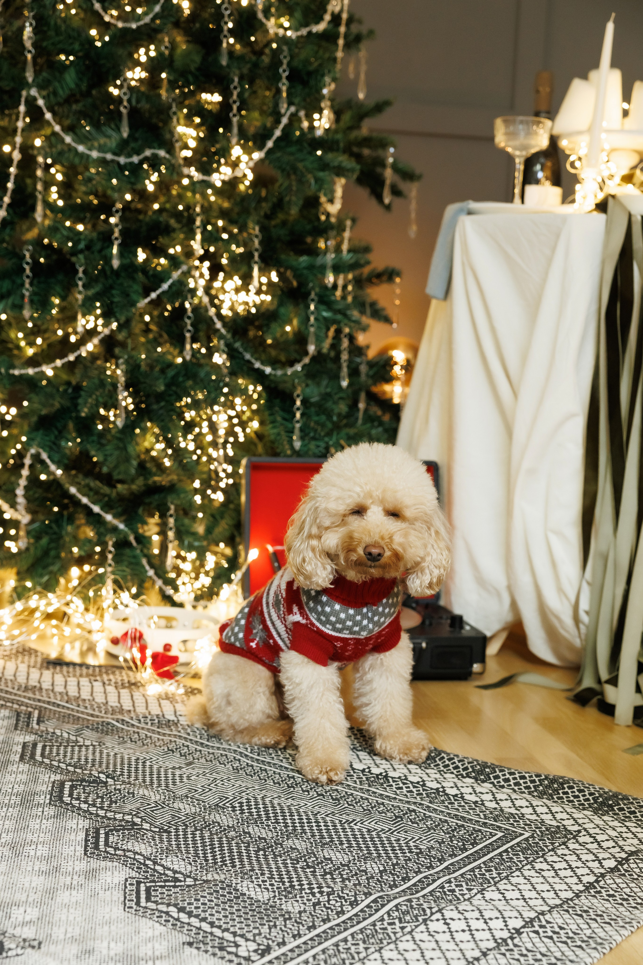 Коледно Настроение 2024. Фотограф Ирина Йотова