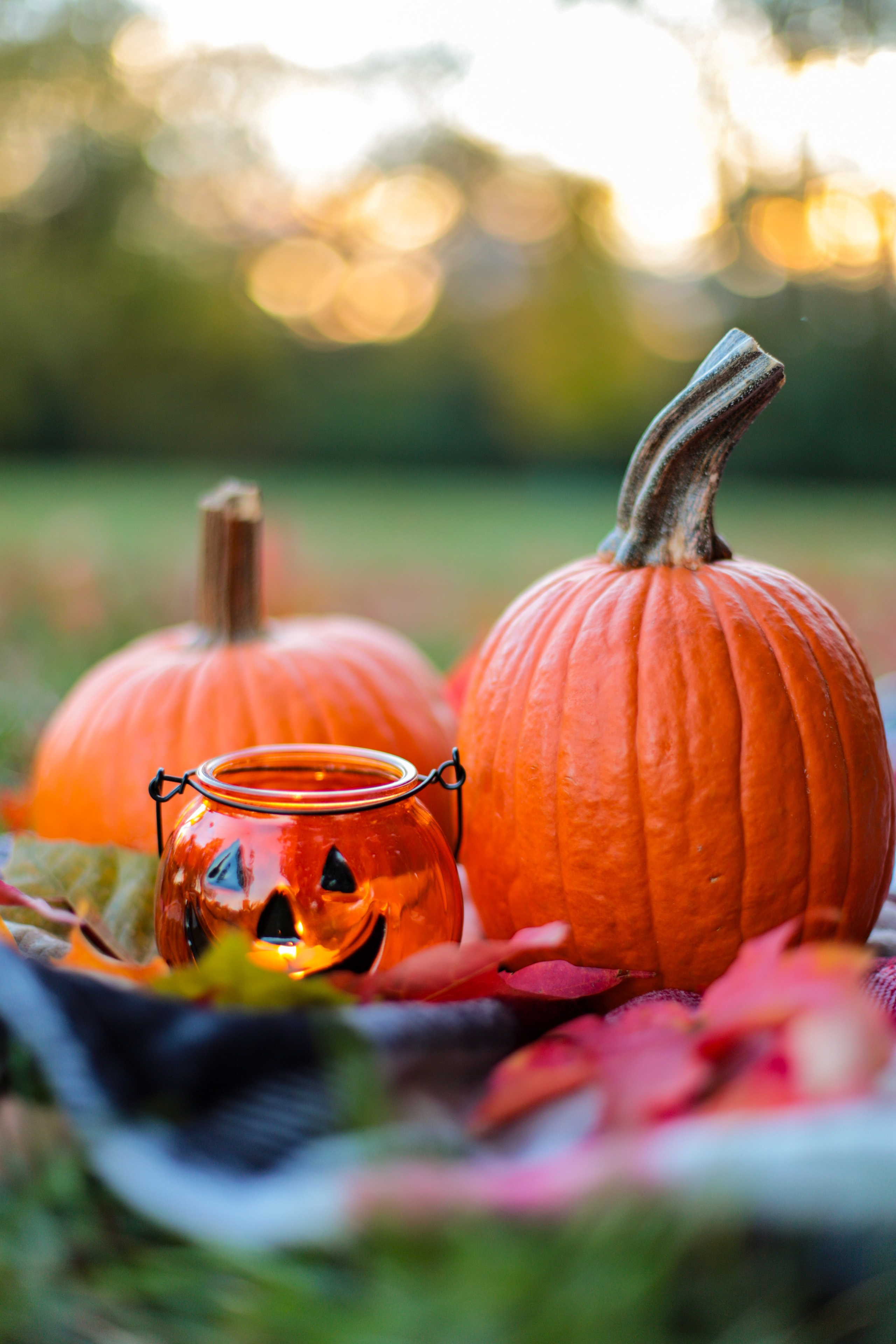 Mom&son. VALERIIA VIUNOVA individual shooting\love story\event\brand