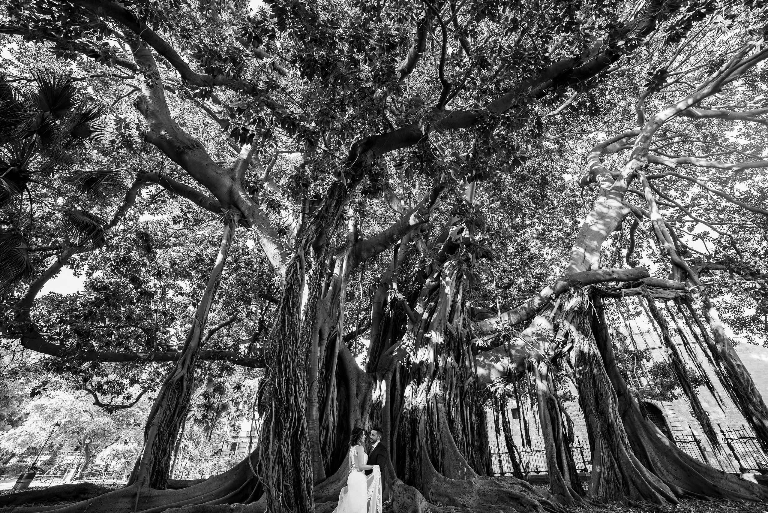 Tiziana & Leandro. Фотограф на Сицилии Гвидо Каналелла