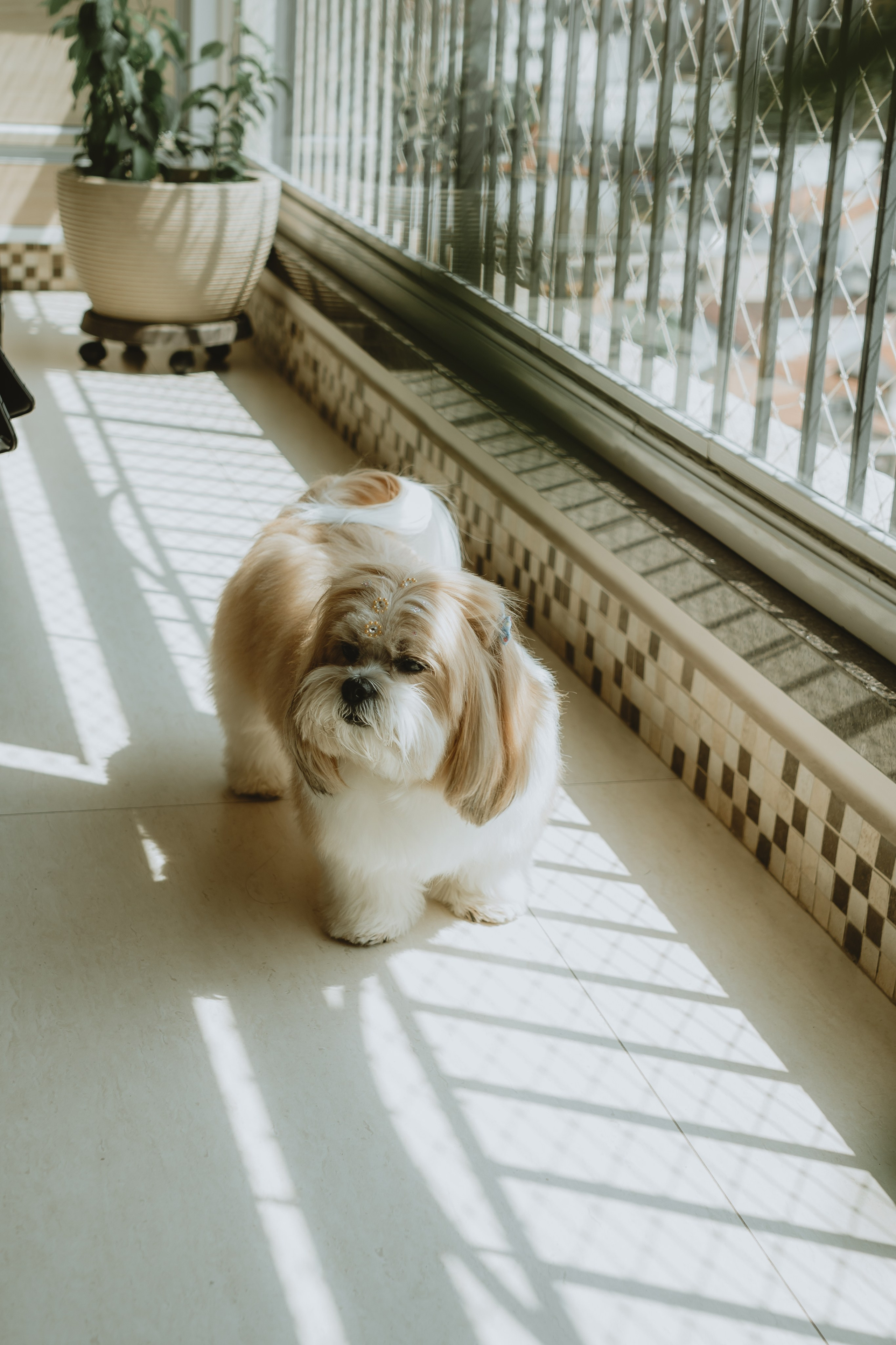 Lamis & Guilherme // Wedding. A Um Passo Fotografia