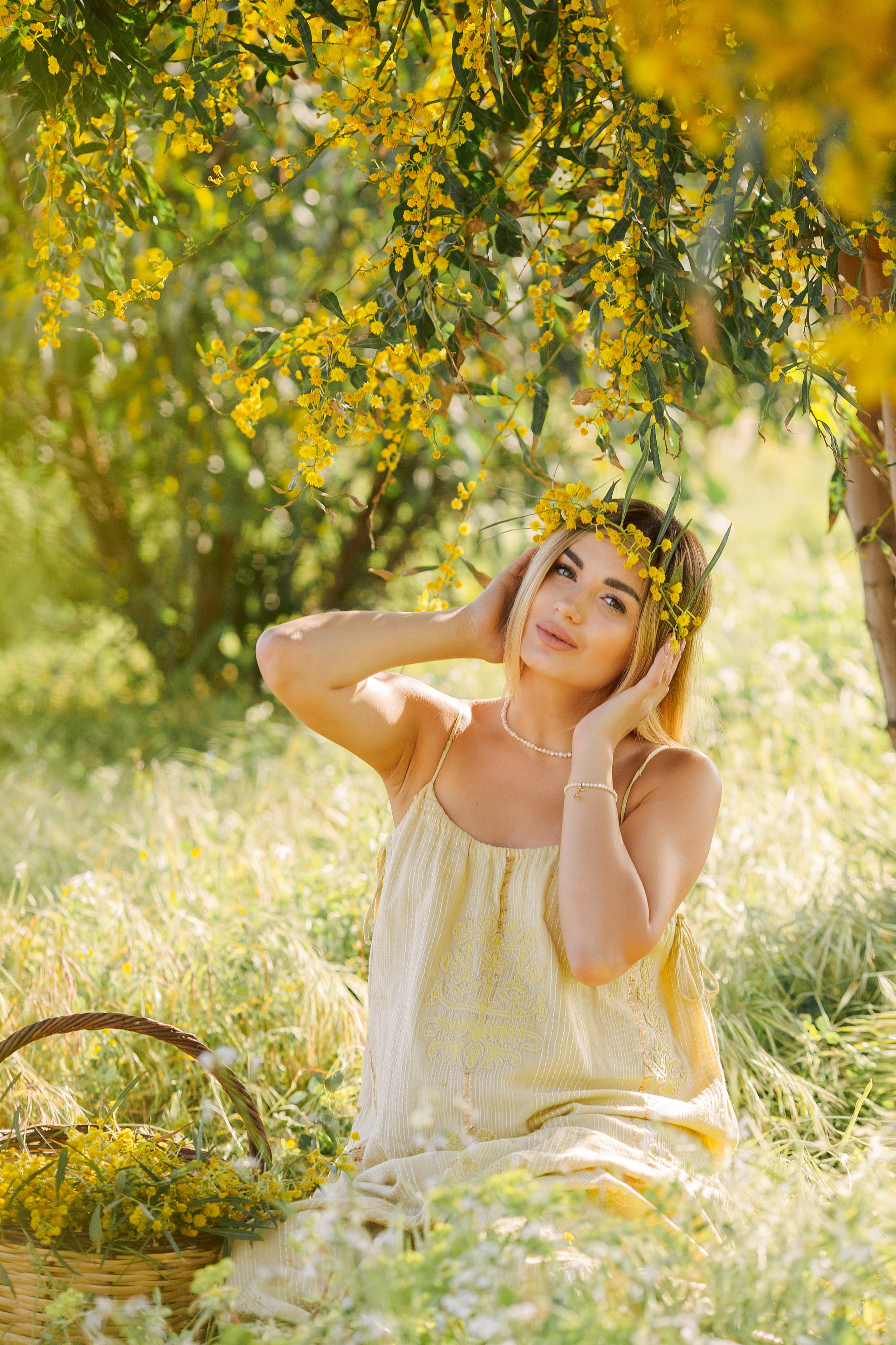 Photo shoot of the unique beauty of yellow mimosa trees. Professional Photographer in Alanya, Side, Belek, Antalya. Turkiye