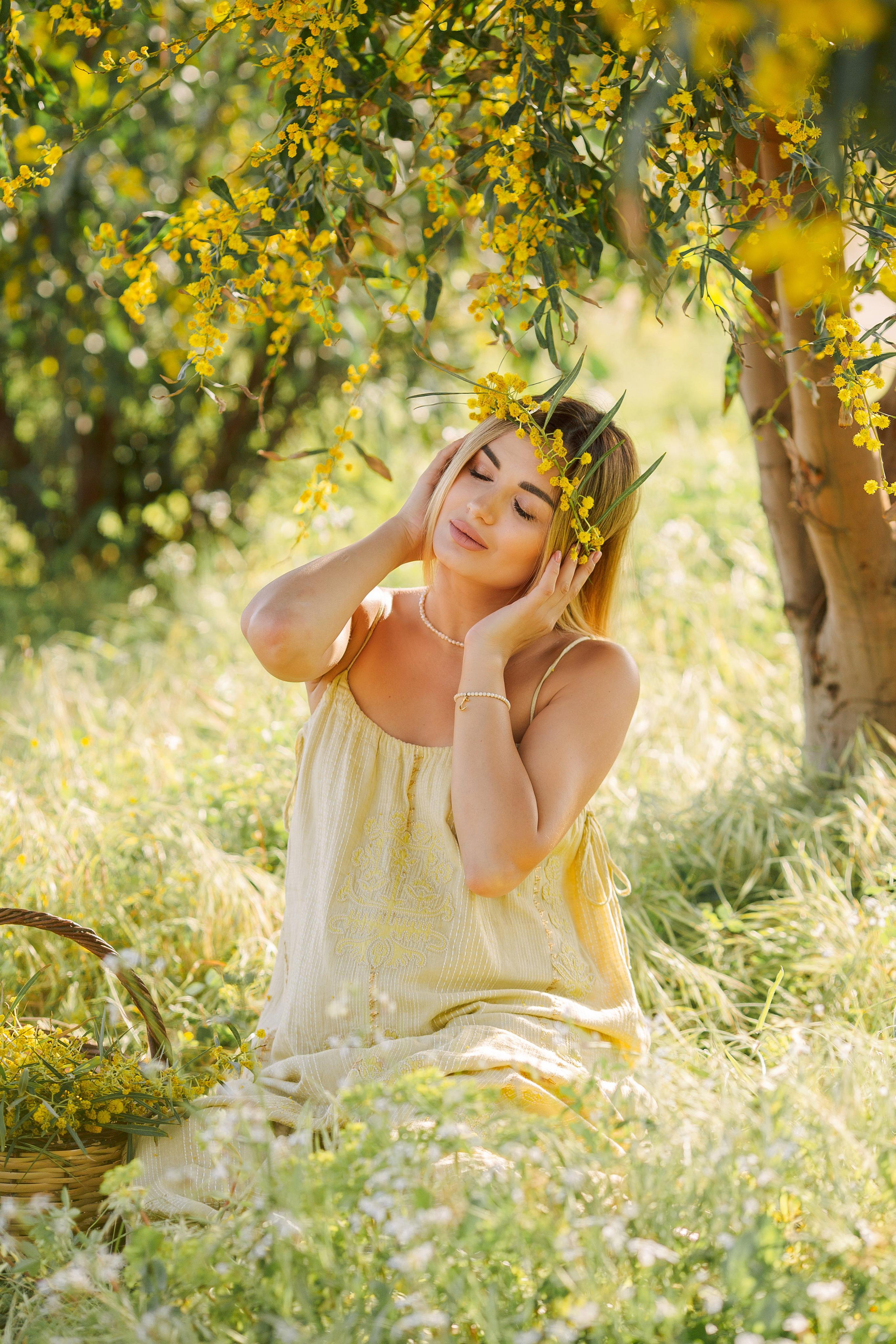Photo shoot of the unique beauty of yellow mimosa trees. Professional Photographer in Alanya, Side, Belek, Antalya. Turkiye