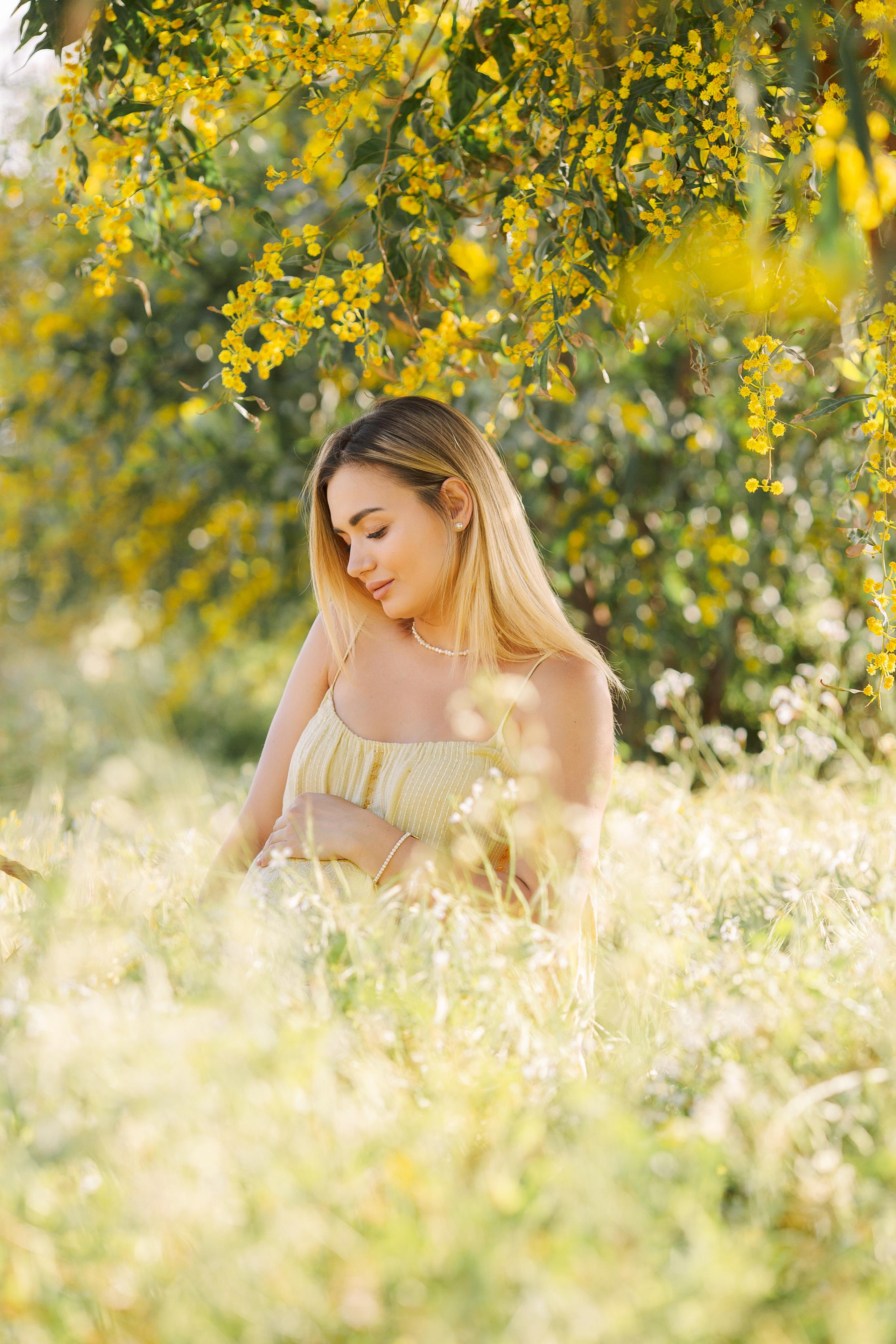 Photo shoot of the unique beauty of yellow mimosa trees. Professional Photographer in Alanya, Side, Belek, Antalya. Turkiye