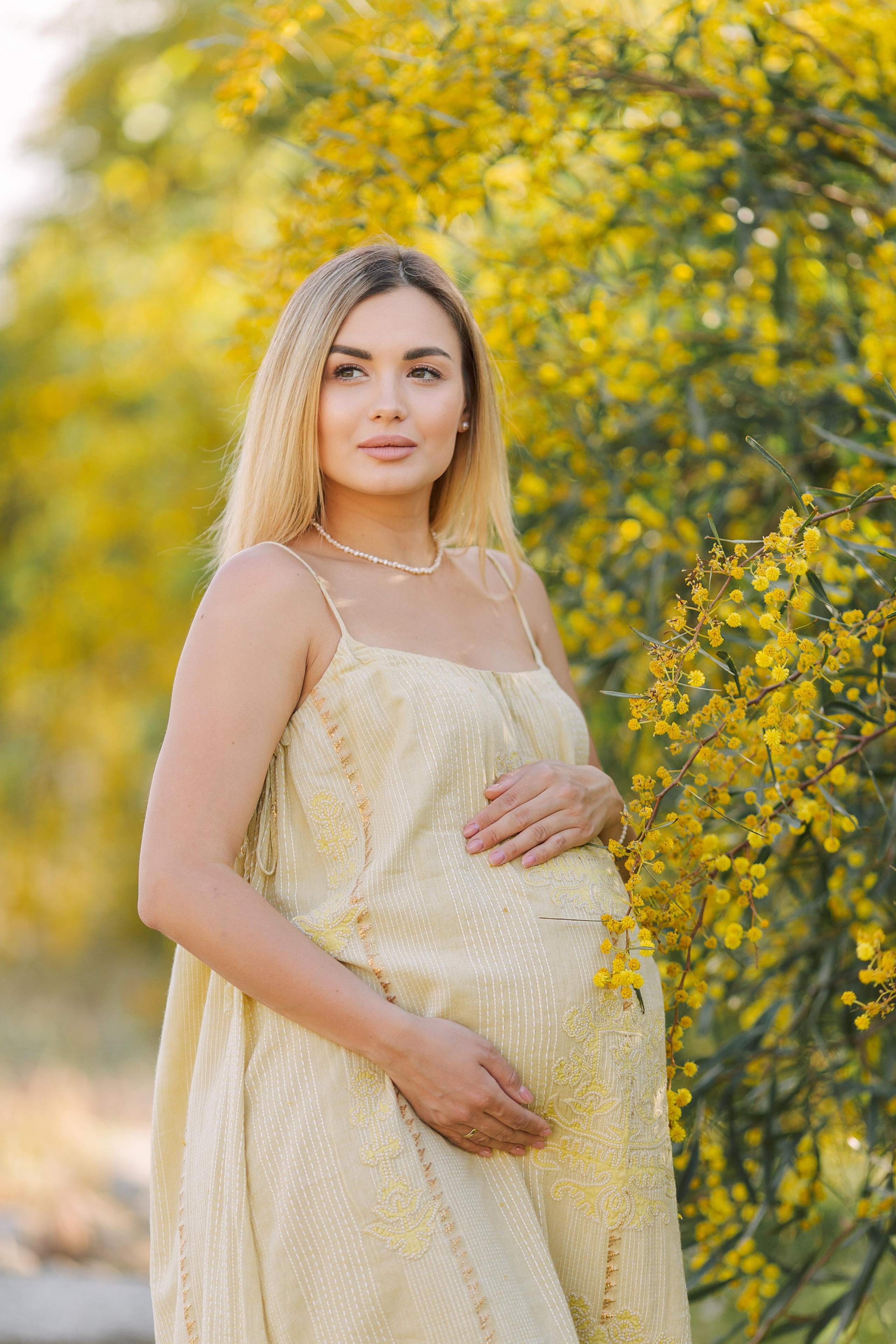 Photo shoot of the unique beauty of yellow mimosa trees. Professional Photographer in Alanya, Side, Belek, Antalya. Turkiye