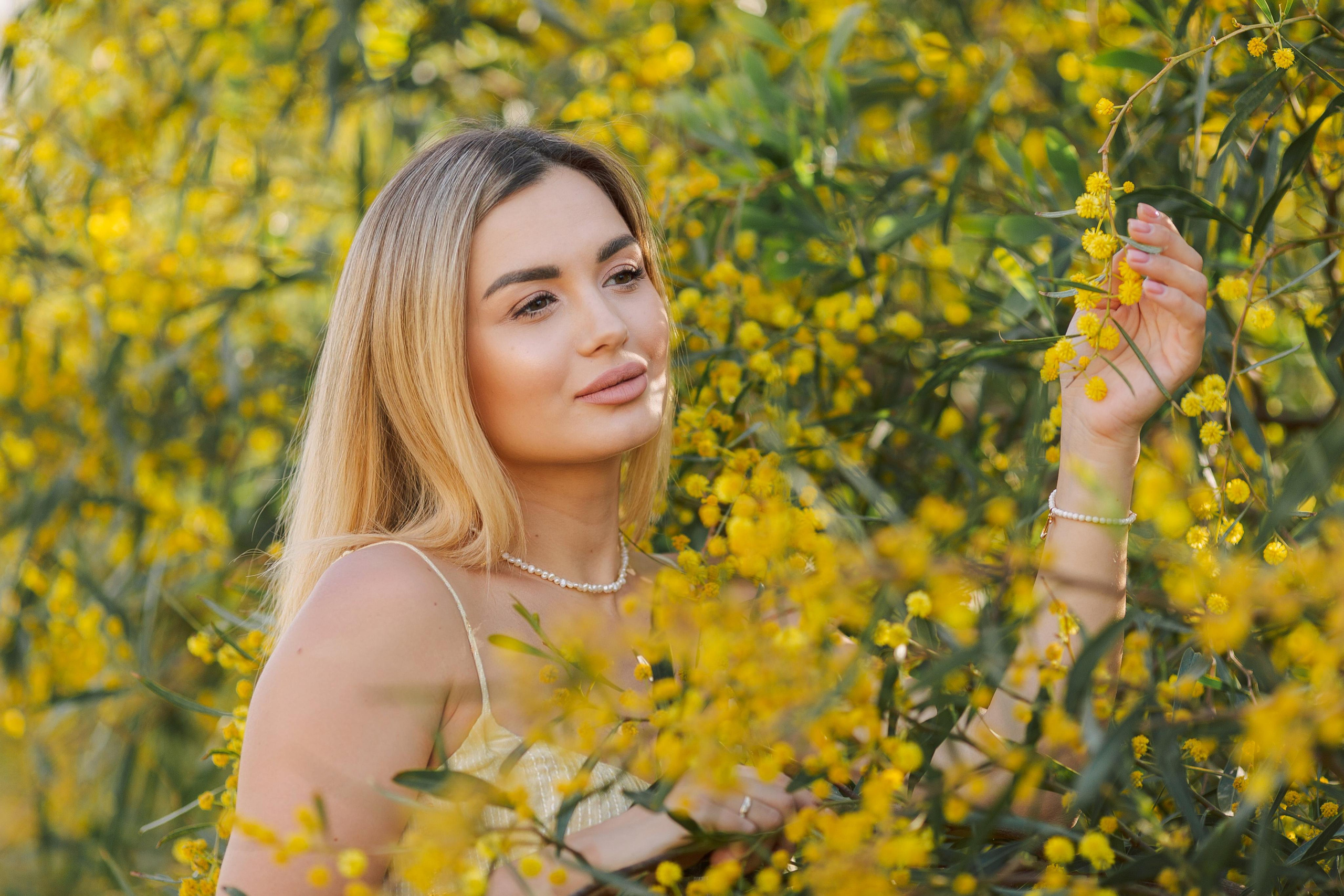 Photo shoot of the unique beauty of yellow mimosa trees. Professional Photographer in Alanya, Side, Belek, Antalya. Turkiye