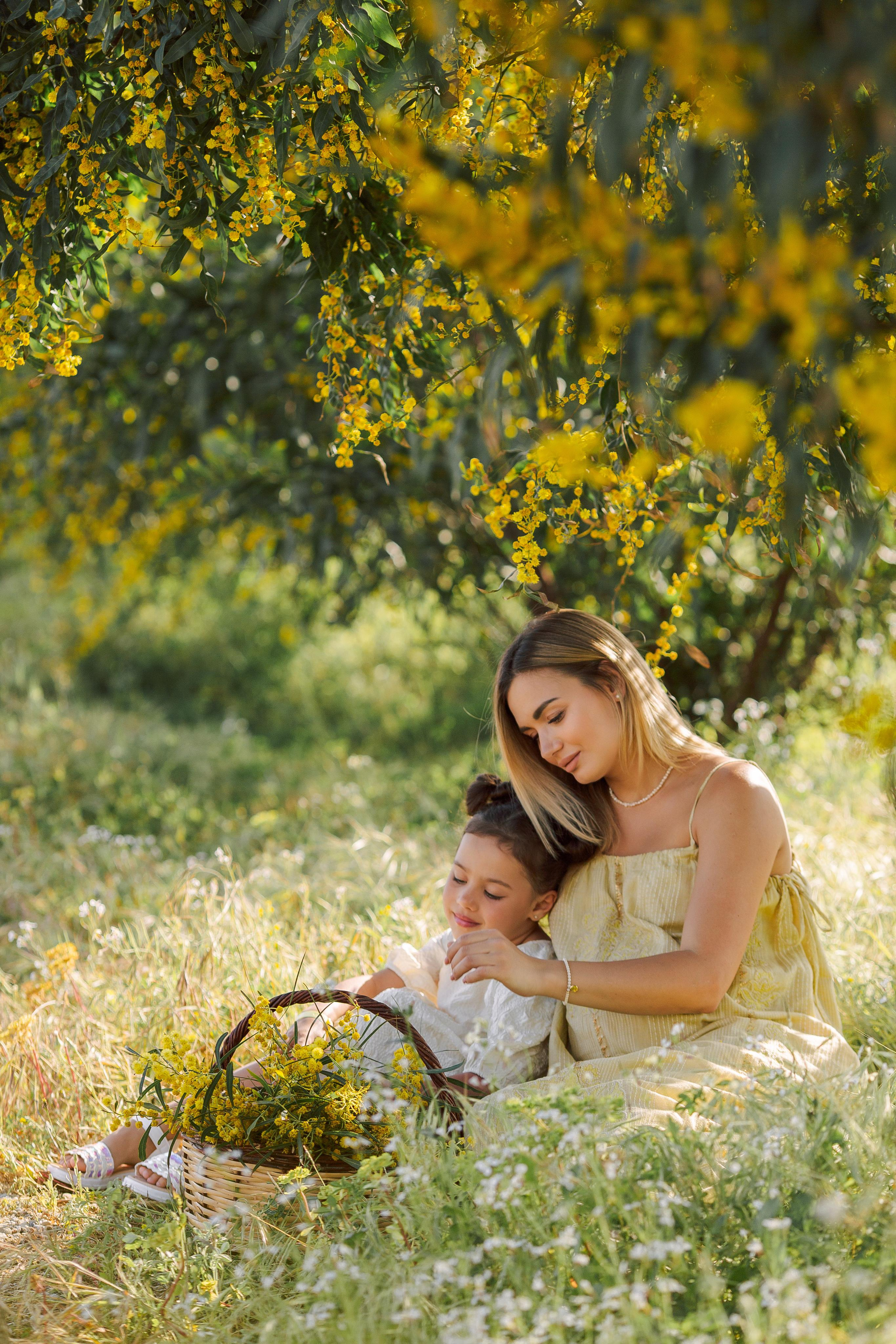 Photo shoot of the unique beauty of yellow mimosa trees. Professional Photographer in Alanya, Side, Belek, Antalya. Turkiye
