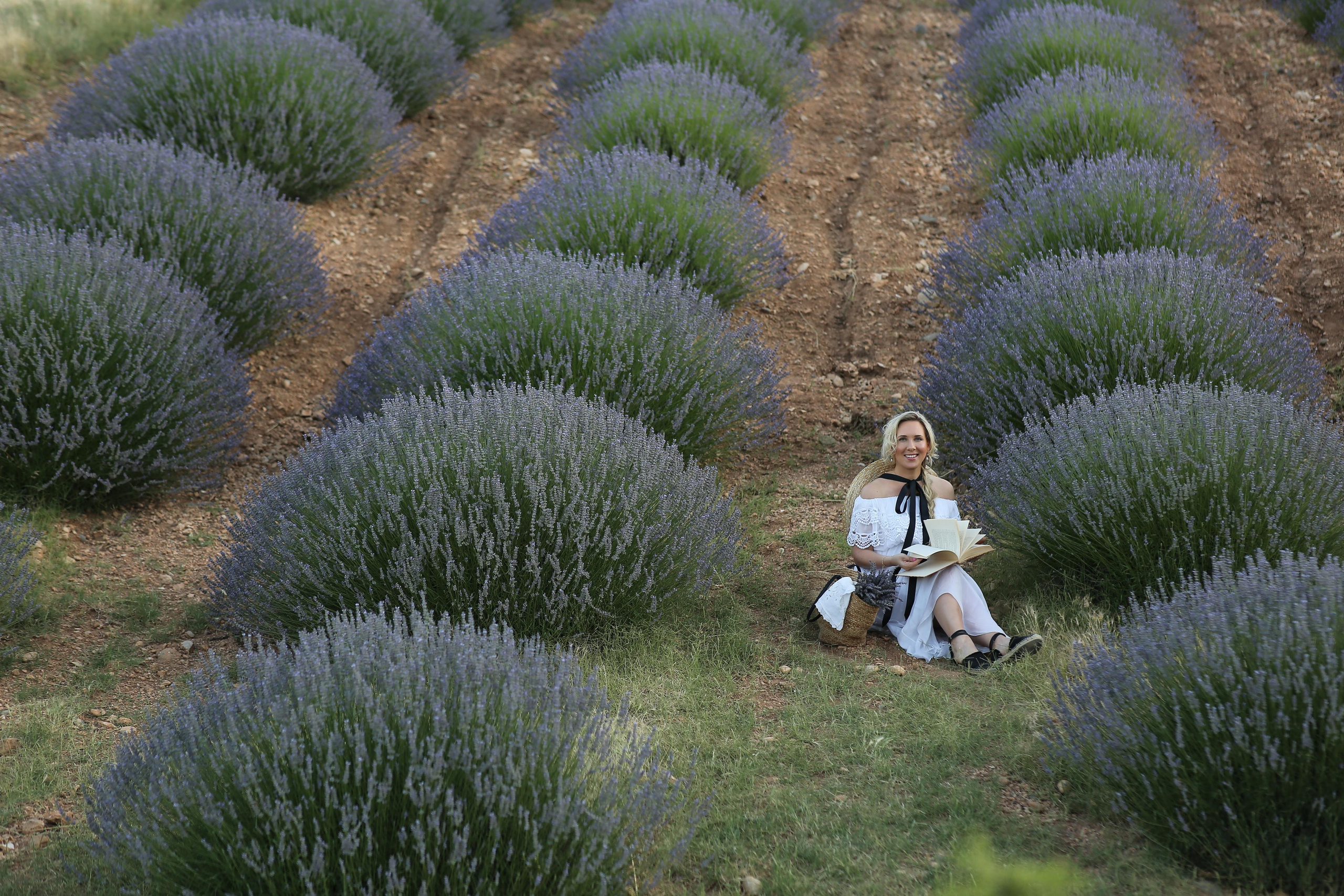 Photo session on the lavender field. Professional Photographer in Alanya, Side, Belek | Alsu Develi  Wedding, Family and portrait photo sessions