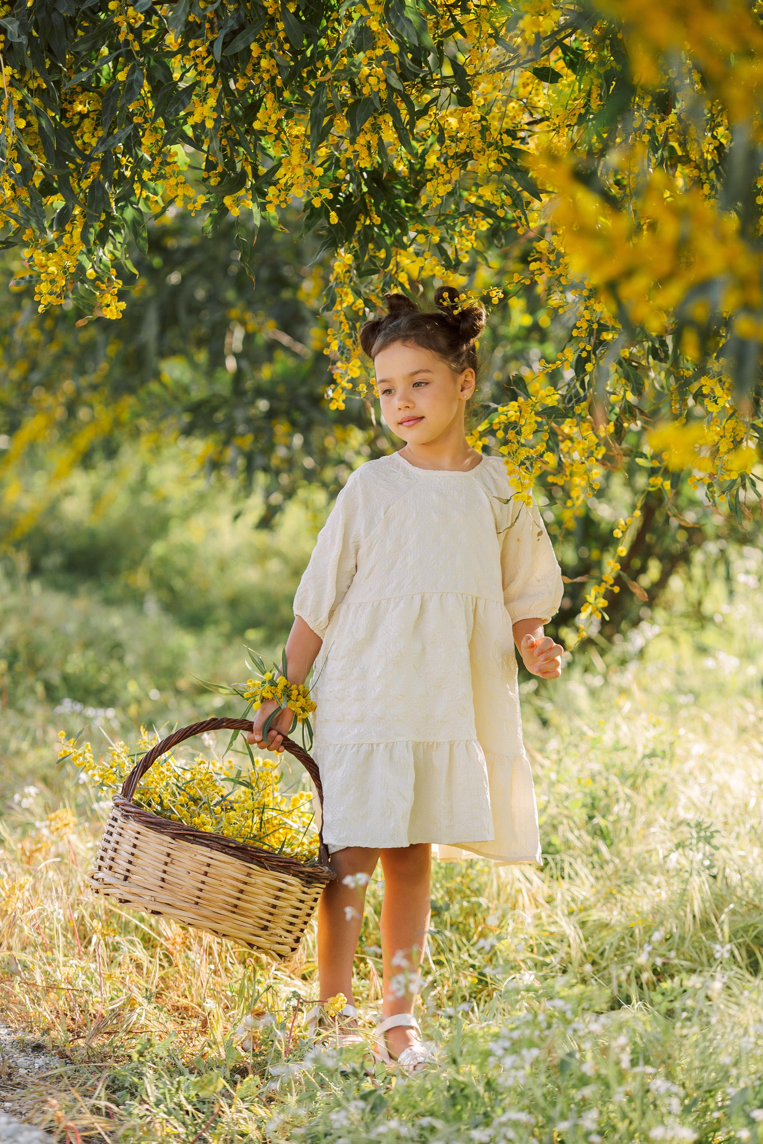 Photo shoot of the unique beauty of yellow mimosa trees. Professional Photographer in Alanya, Side, Belek, Antalya. Turkiye